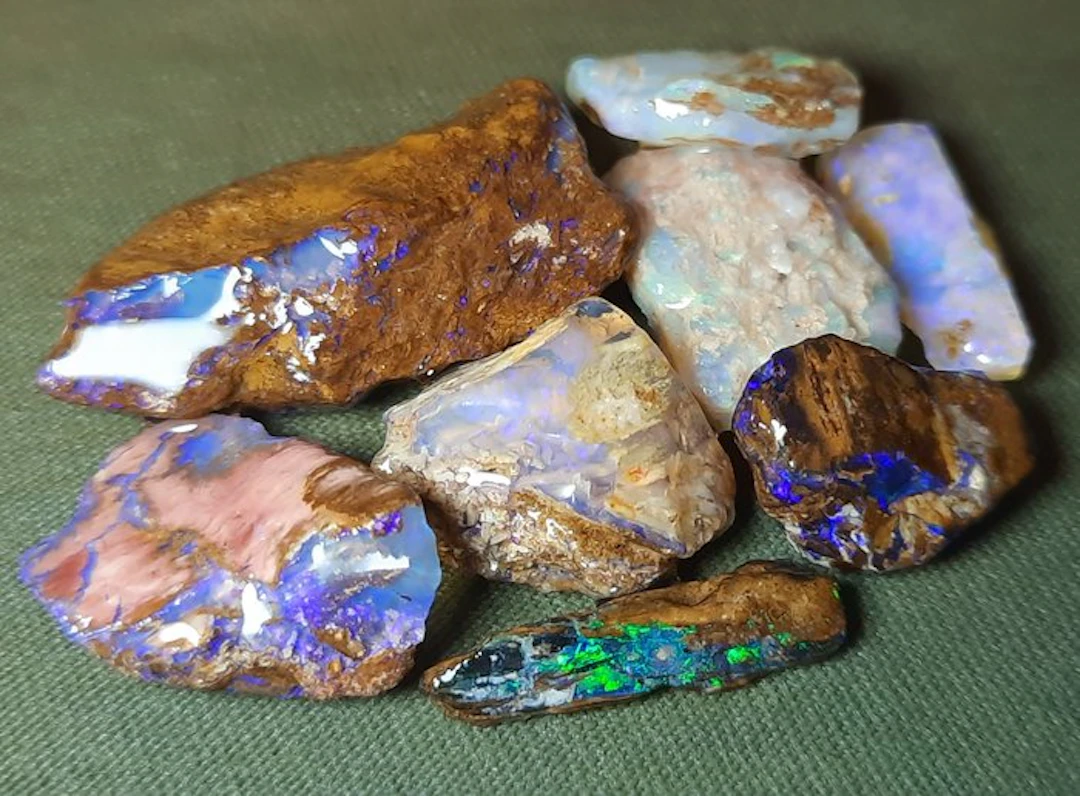 50.6 ct - Rare Natural Australian Opal - Wood Fossil - Rough- 10.12 g