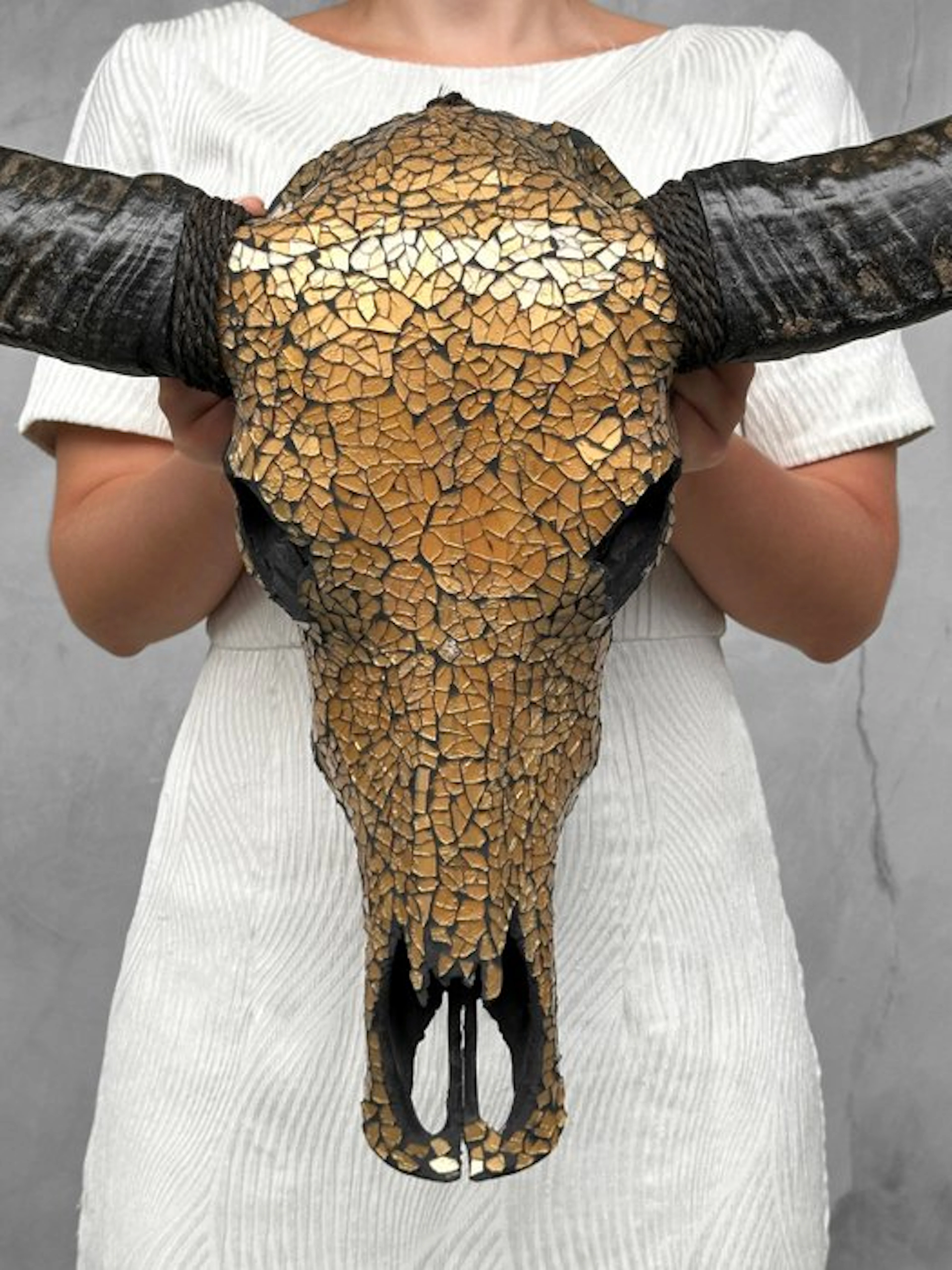 NO RESERVE PRICE - Stunning Large Buffalo Skull with...