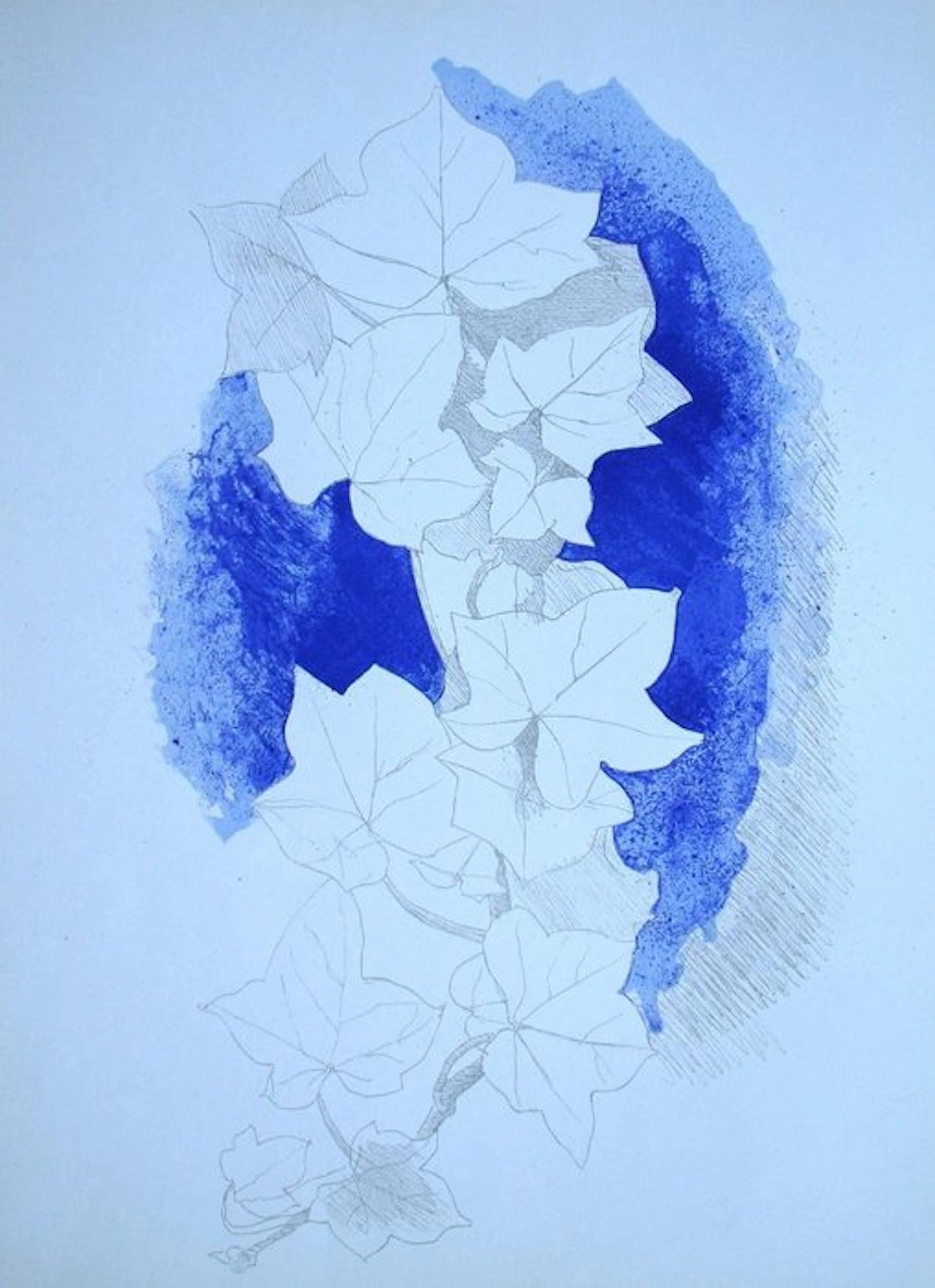 Georges Braque (1882-1963) - Lierre