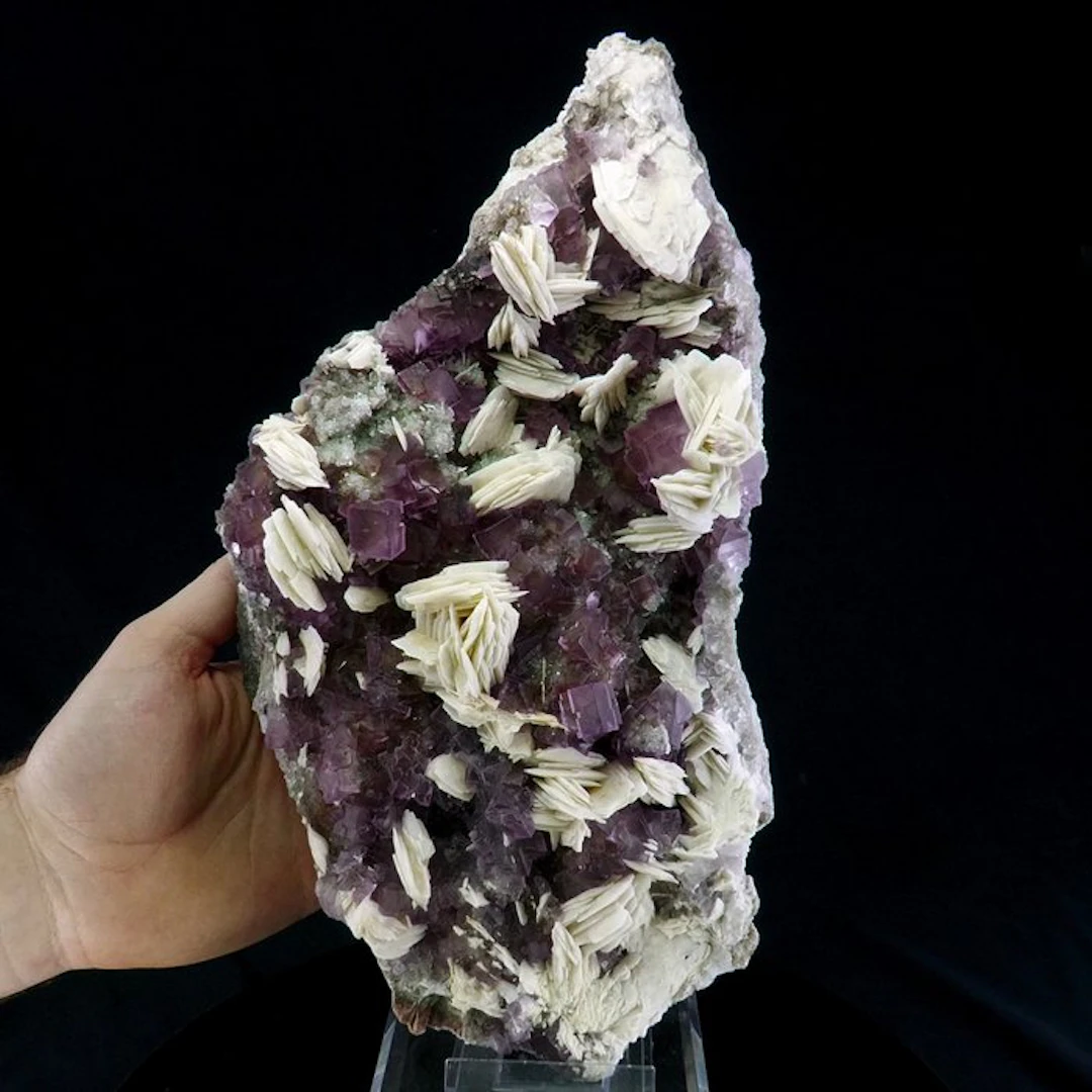 Fluorite & Baryte with Quartz - Berbes
