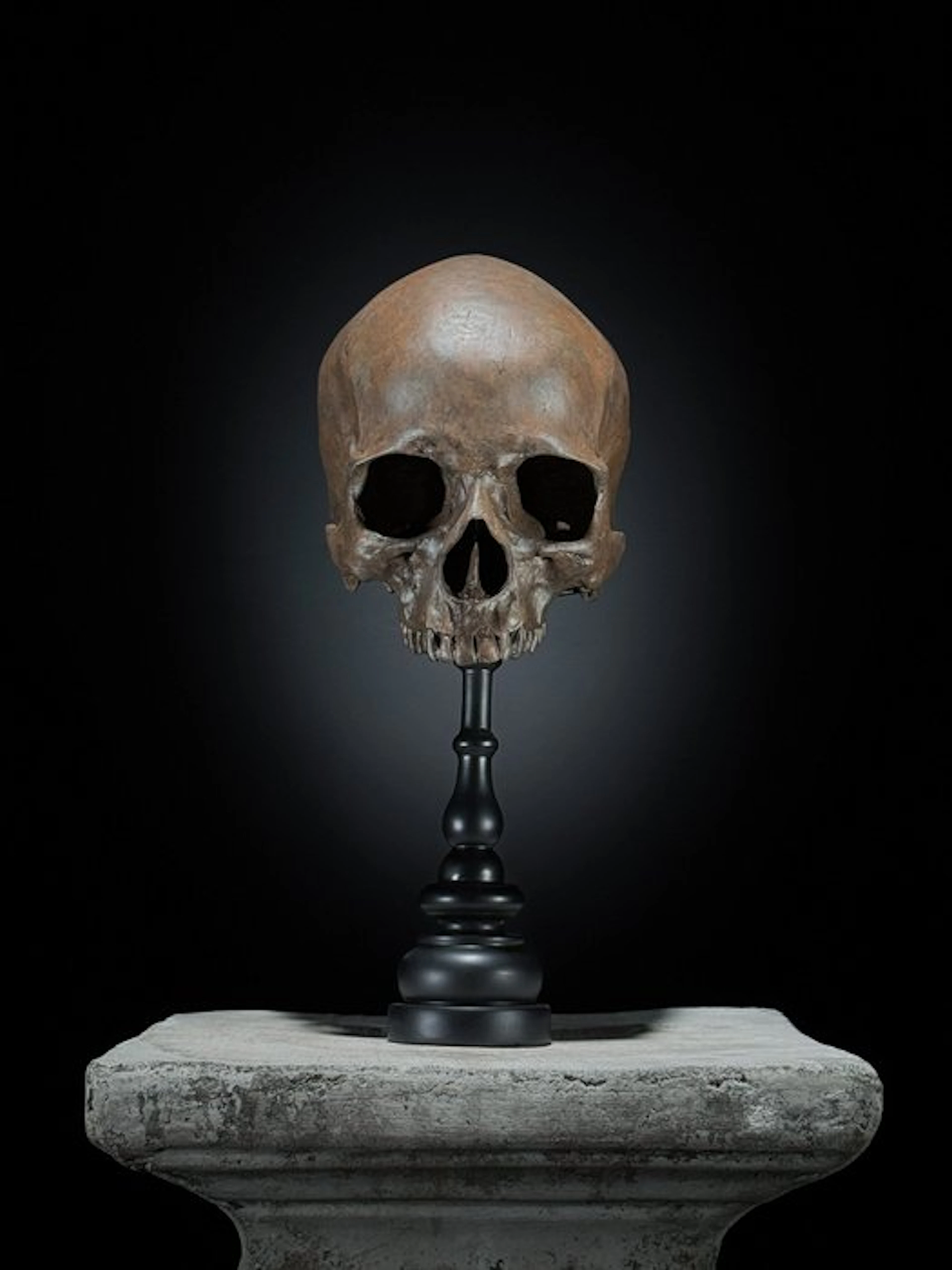 Statue, NO RESERVE PRICE - Stunning human skull statue on...