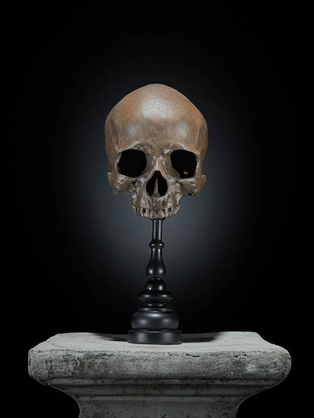 Statue, NO RESERVE PRICE - Stunning human skull statue on...