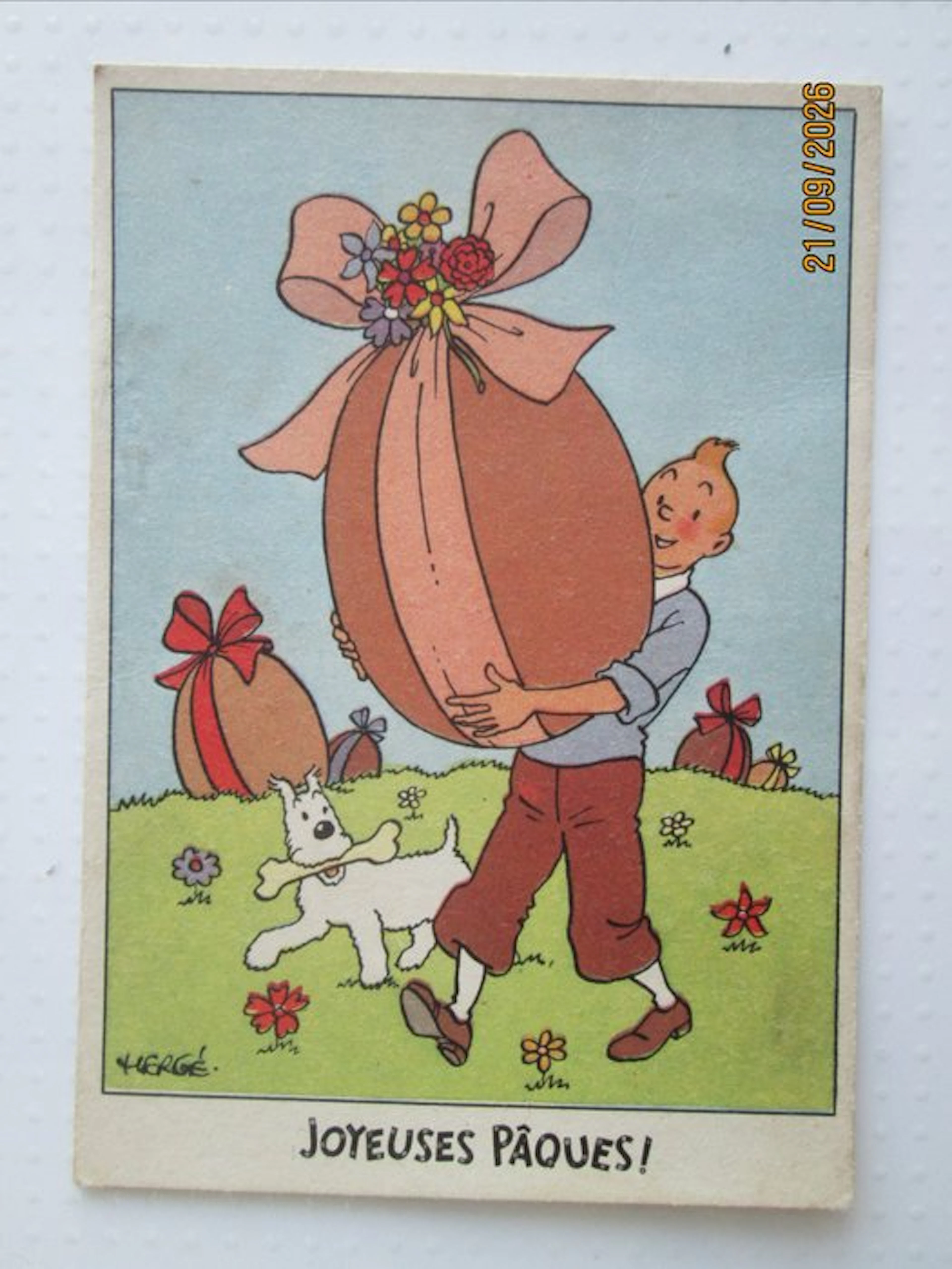 Belgium - Postcard (1) - 1951-1955