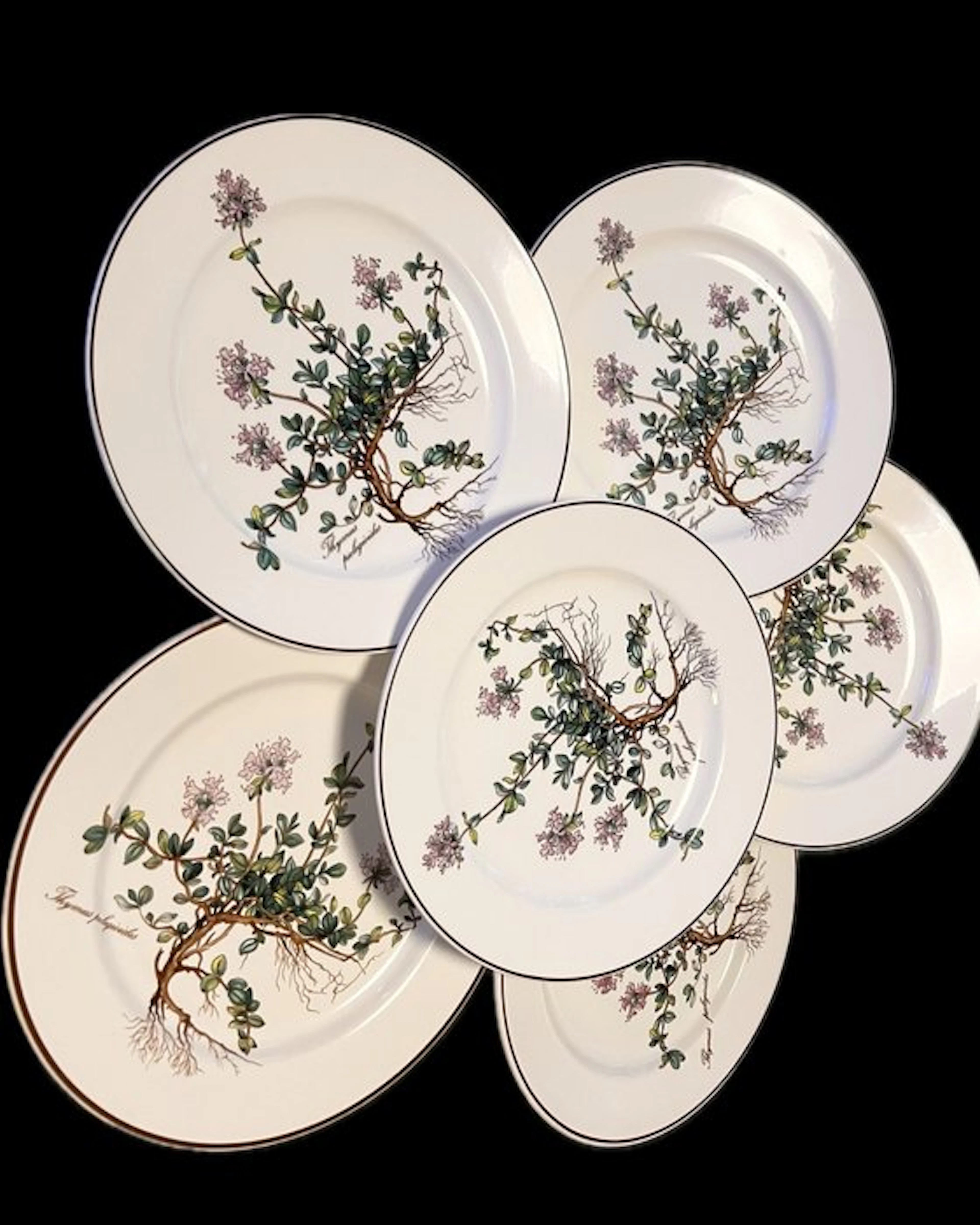 Villeroy & Boch - Plate (6) - Botanica - Porcelain