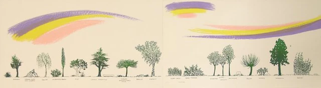Bruno Munari (1907-1998) - Un viale di alberi diversi ( Grande formato )
