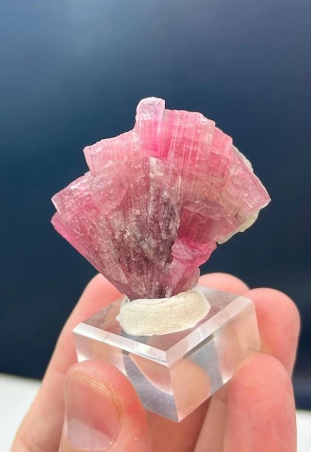 Tourmaline Specimen - Height: 44 mm - Width: 44 mm- 30 g - (1)