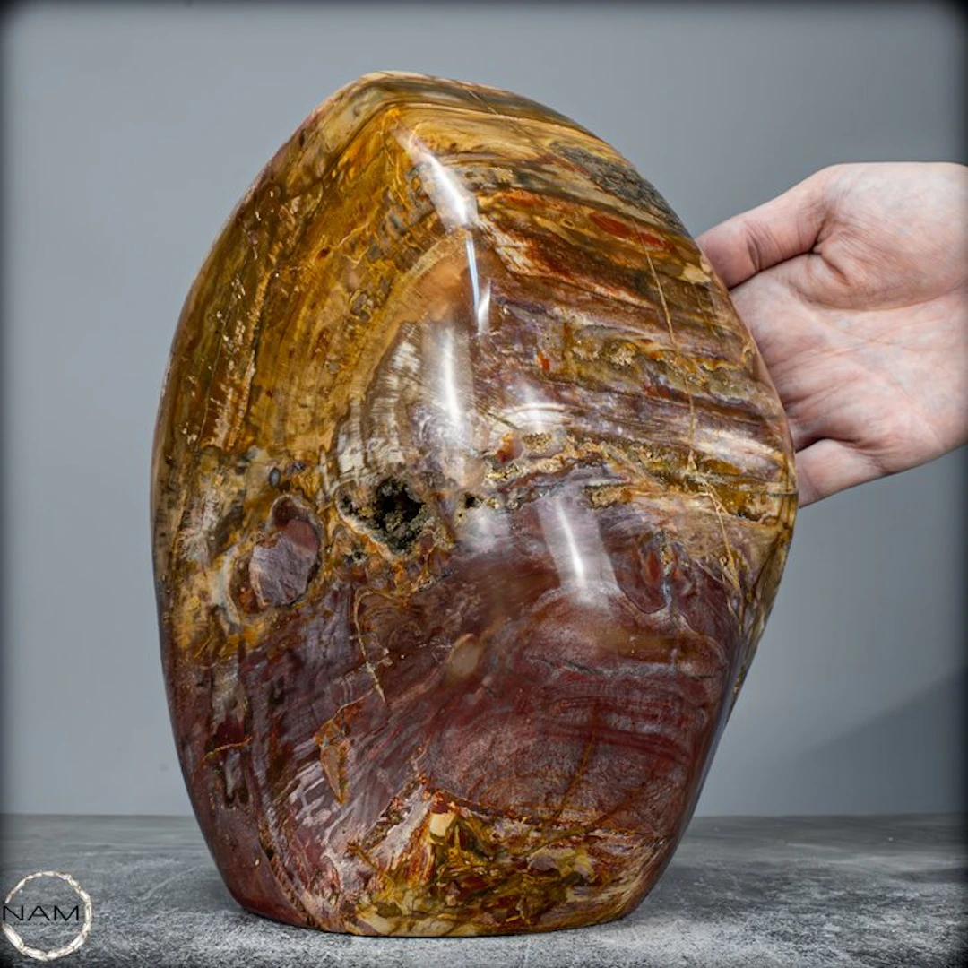 Natural large petrified wood Freeform- 8280.41 g