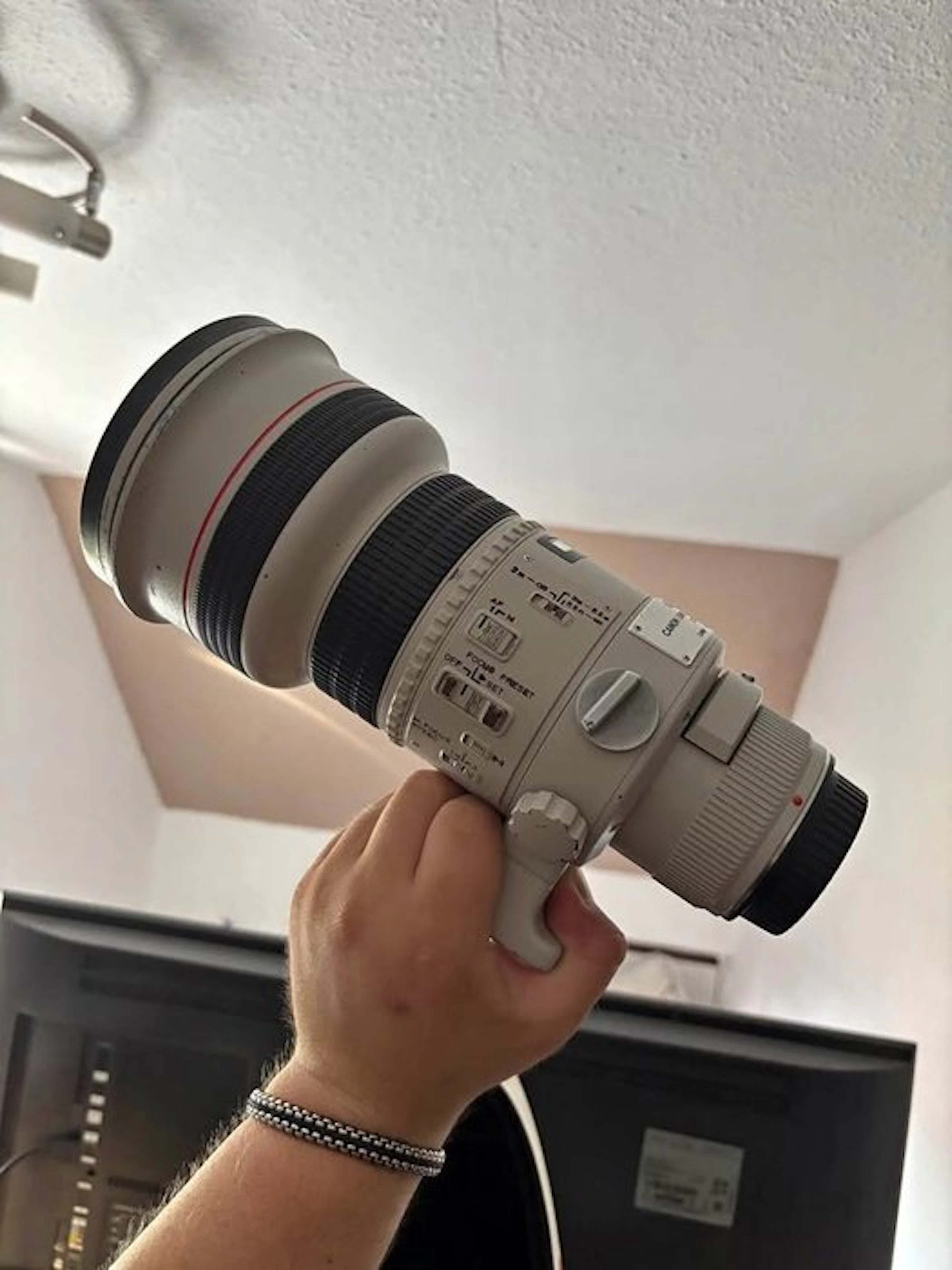 Canon EF 2,8/300mm L | Telelens