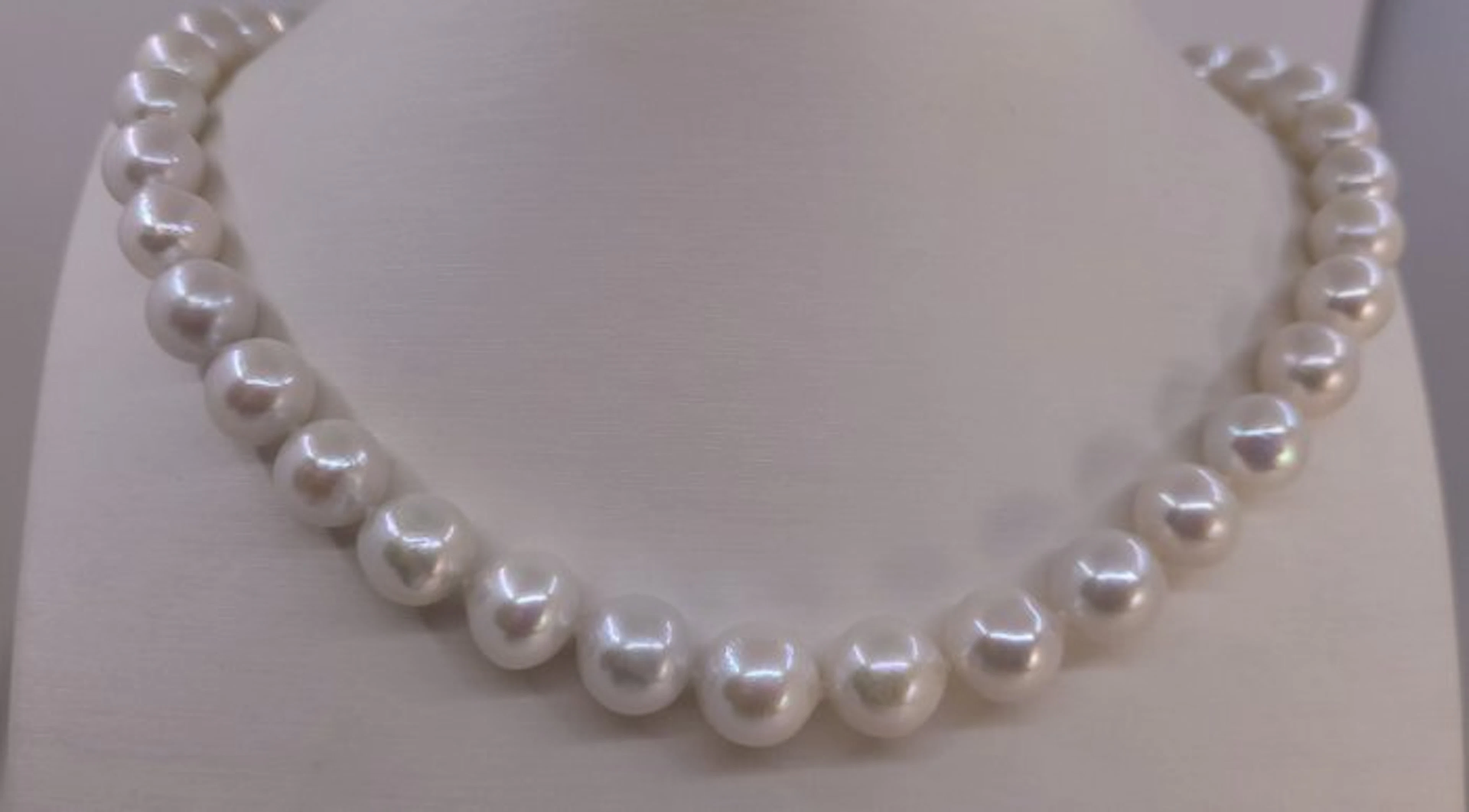 No reserve price - Necklace - 14 kt. White gold - 9x11.5mm Edison Pearls