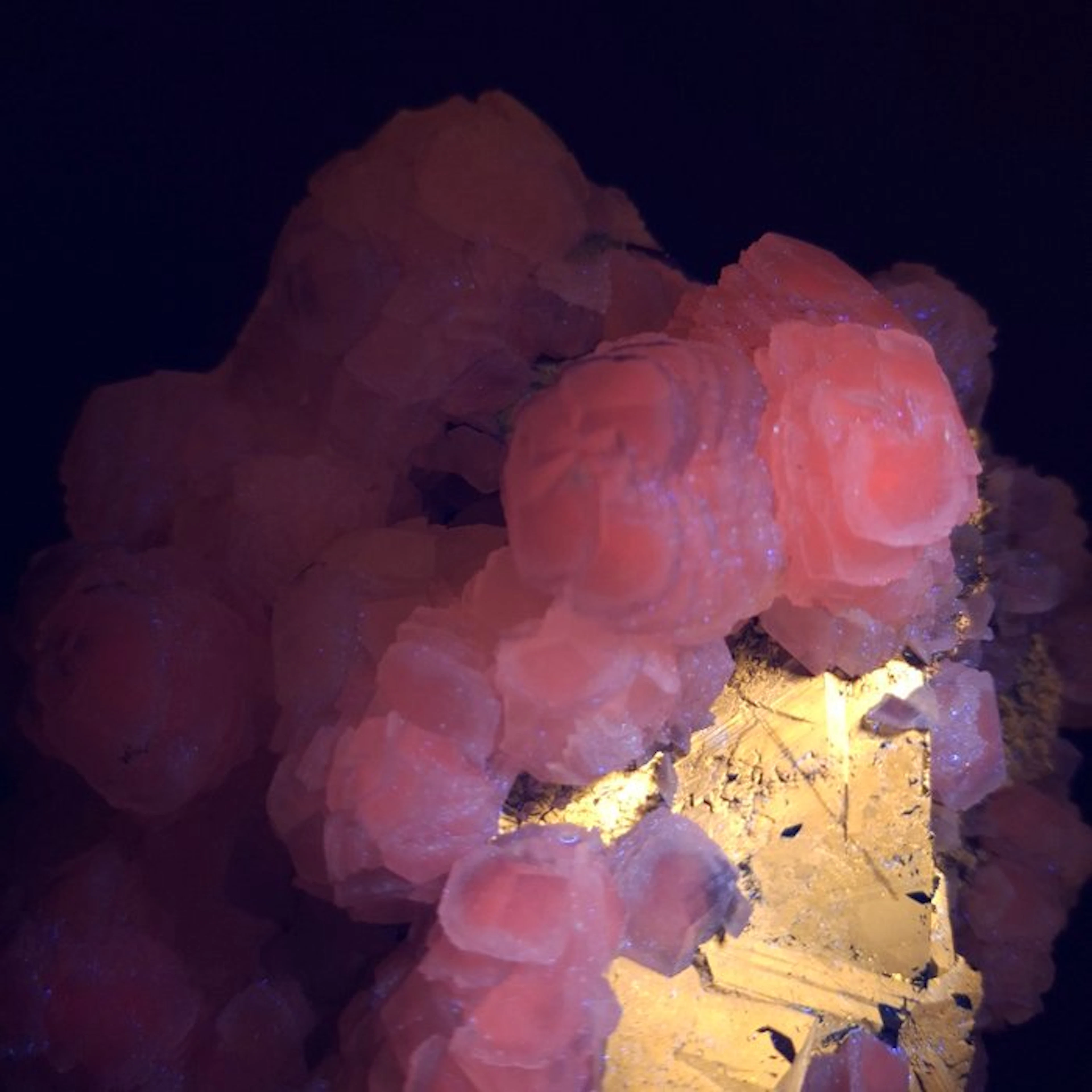 Calcite on sphalerite with pyrite Fluorescent - Height...