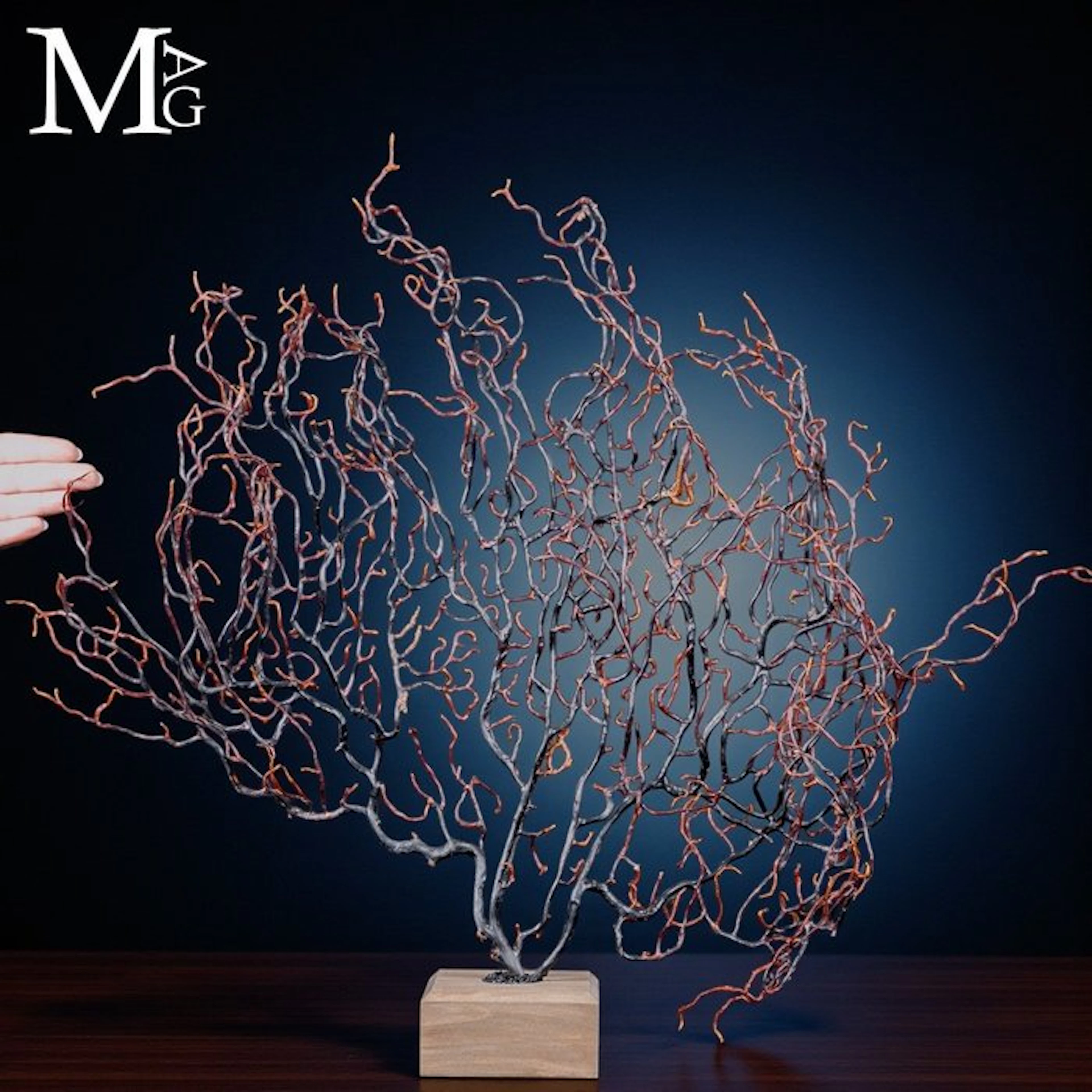 Intricate Black Sea Fan Gorgonian with delicate