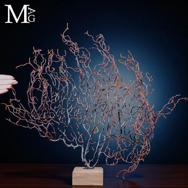 Intricate Black Sea Fan Gorgonian with delicate