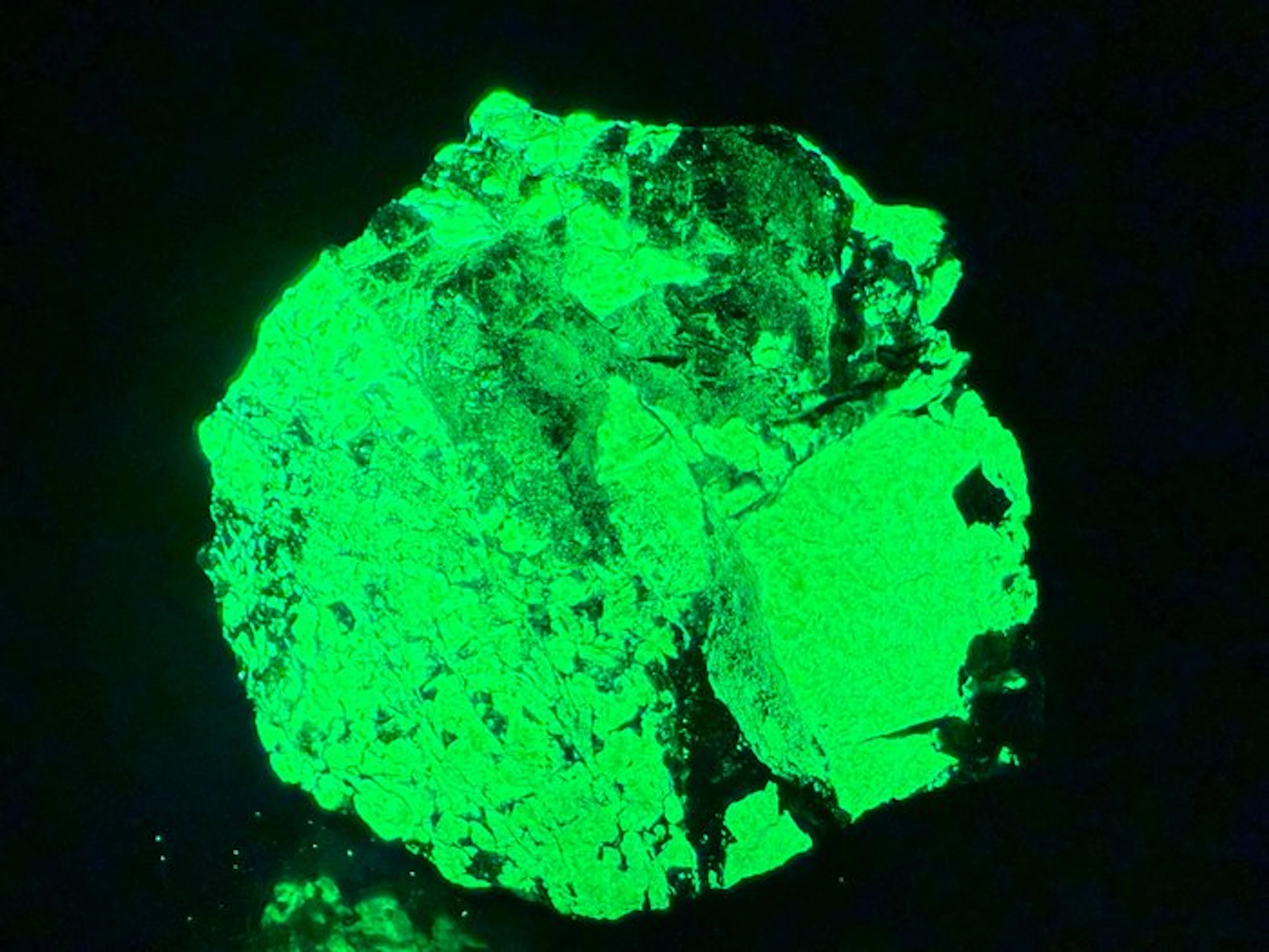 Extremely bright willemite and troostite willemite with franklinite
