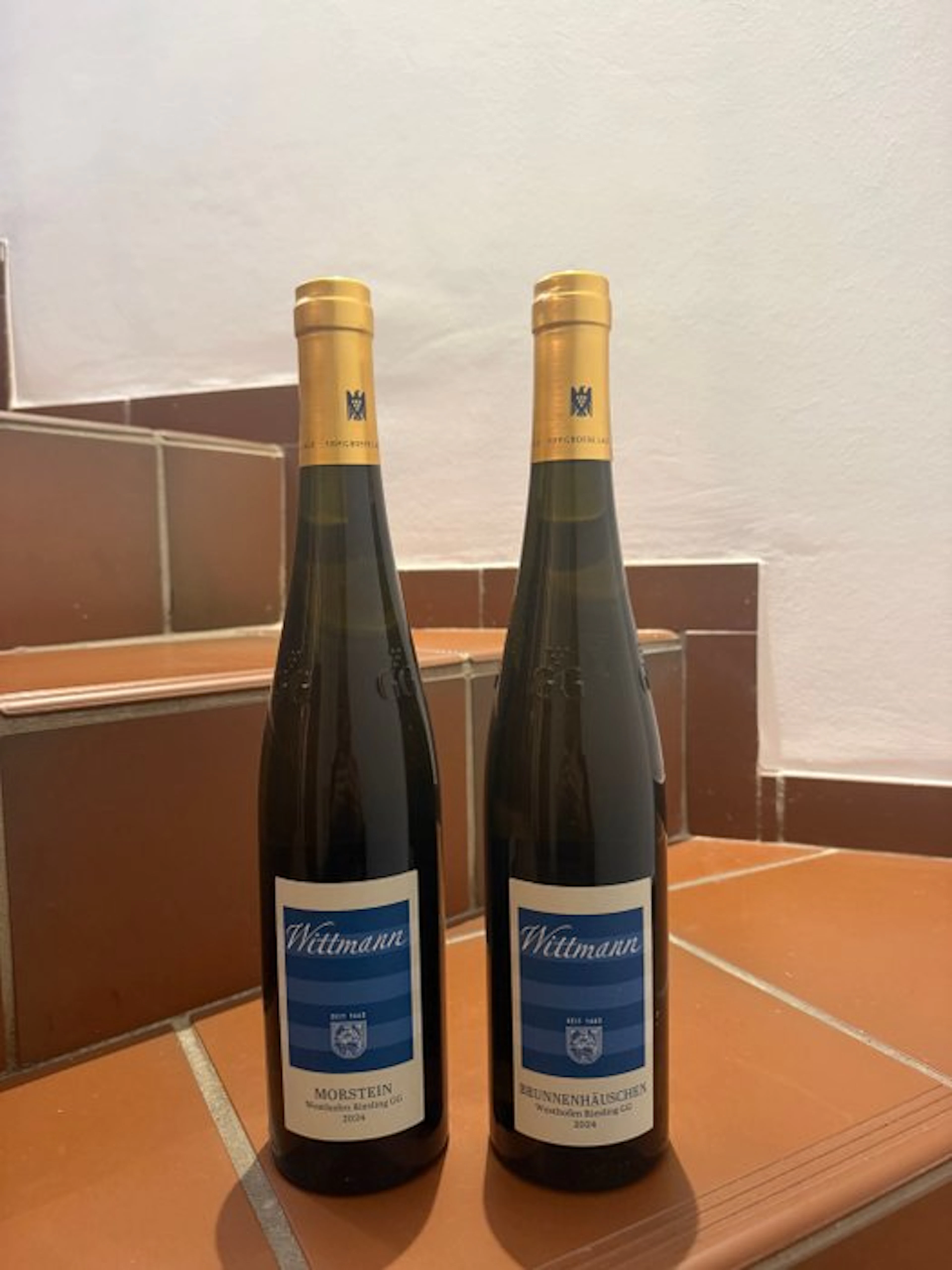 2024 Wittmann Morstein & Brunnenhäusschen - Rheinhessen...