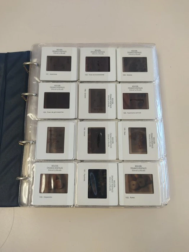 Unknown, no brand 180 Educational Slides: Biologia Picture slide