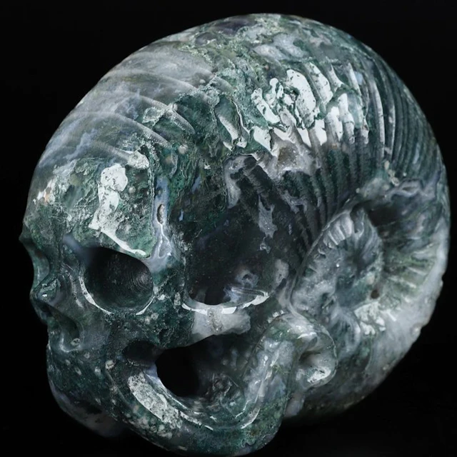 1.70 kg Green Moss Nautiloid Cthulhu – Spiral of Time