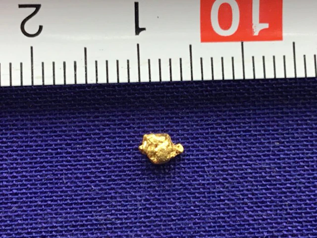 Yukon Crystalline Nuggets - Height: 0.6 mm - Width: 0.6 mm- 0.13 g - (1)
