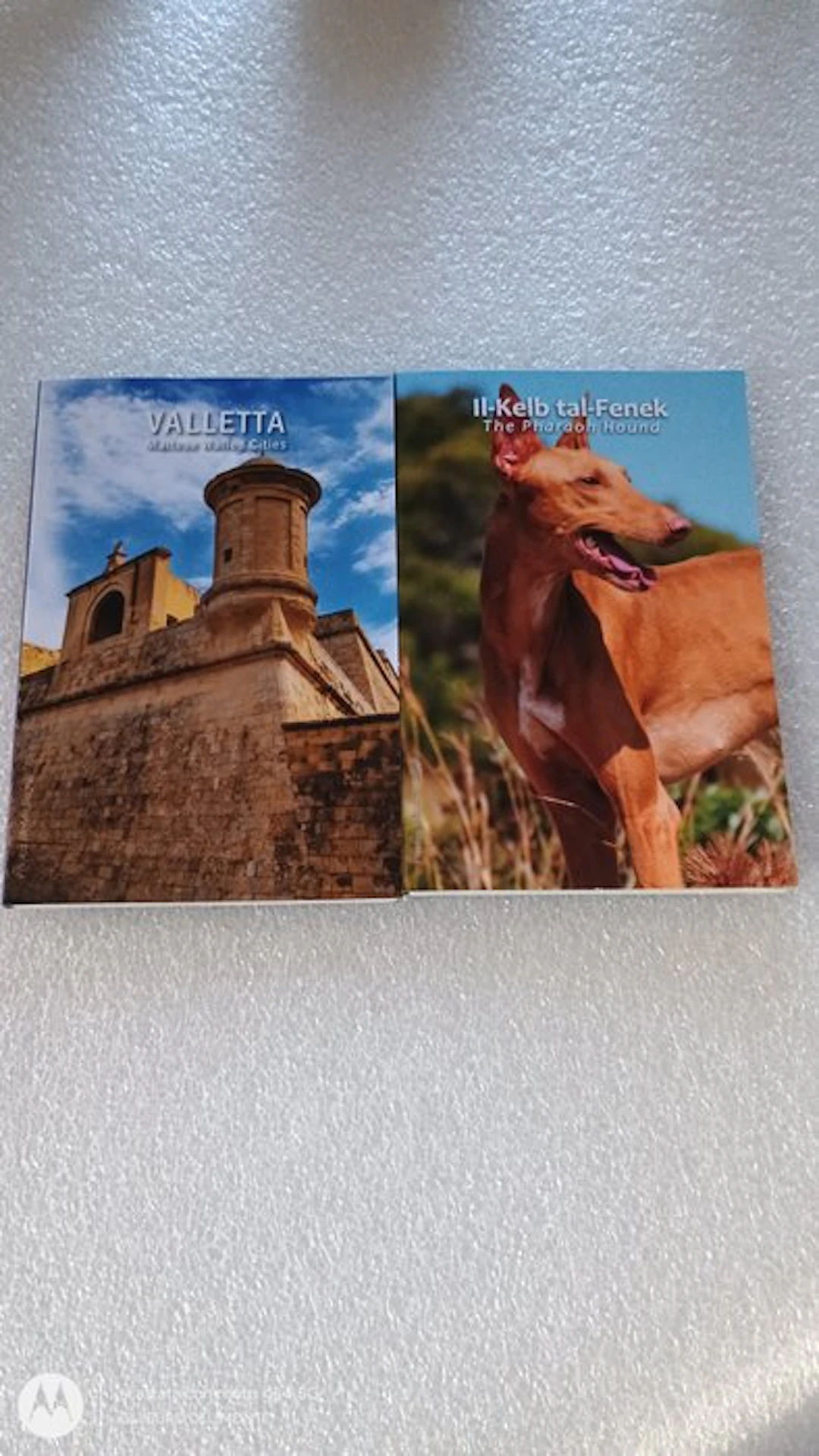 Malta. 2 Euro 2026 "Il-Kelb Tal-Fenek" + "Valletta" (2 coins) (No