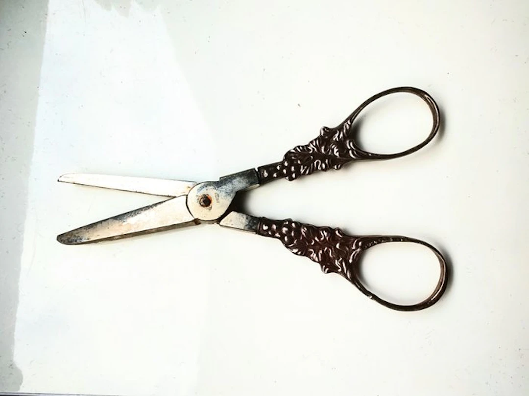 Grape scissors - Silver