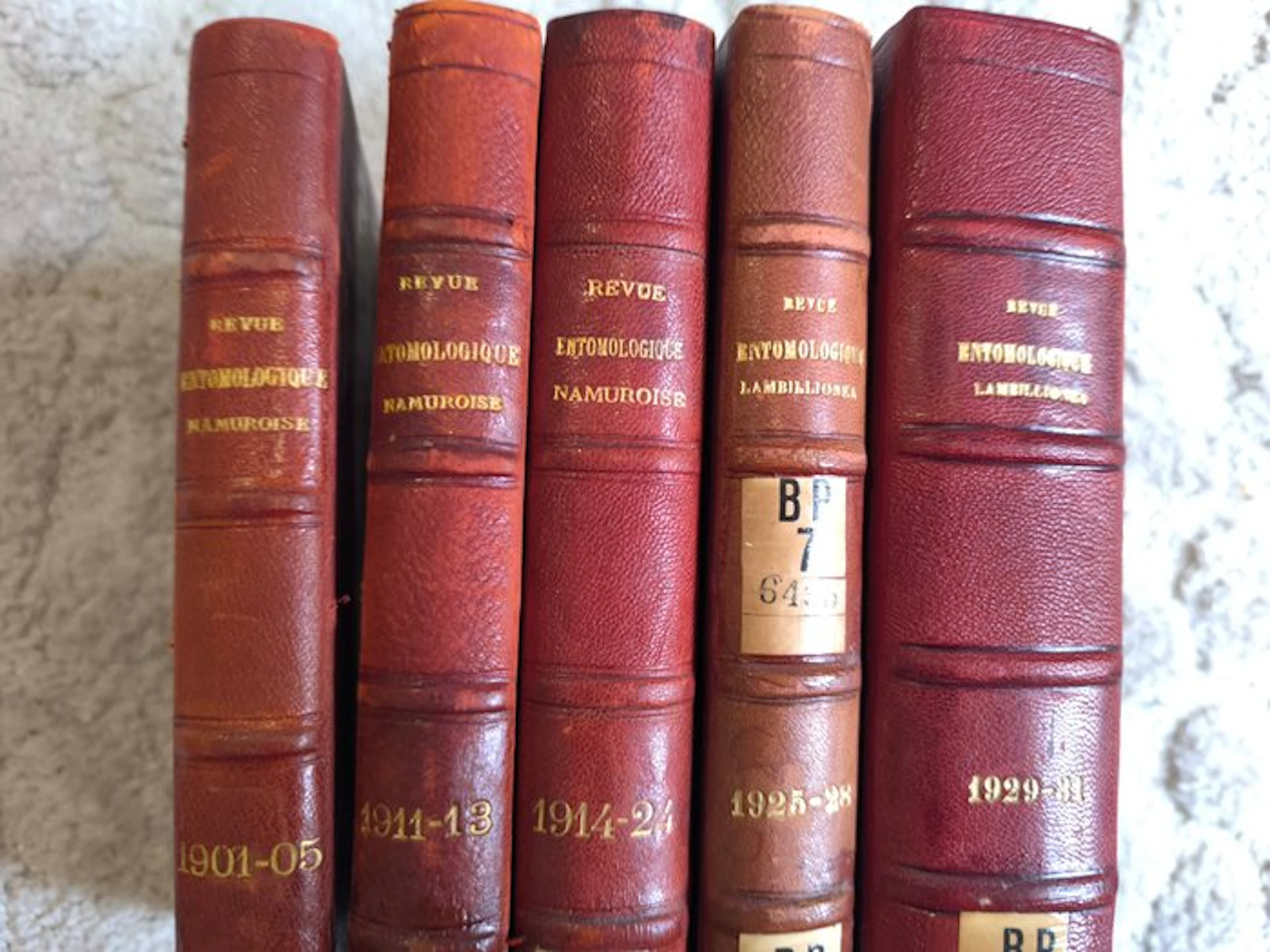 Félicien Derenne - Collection historique de la Revue...