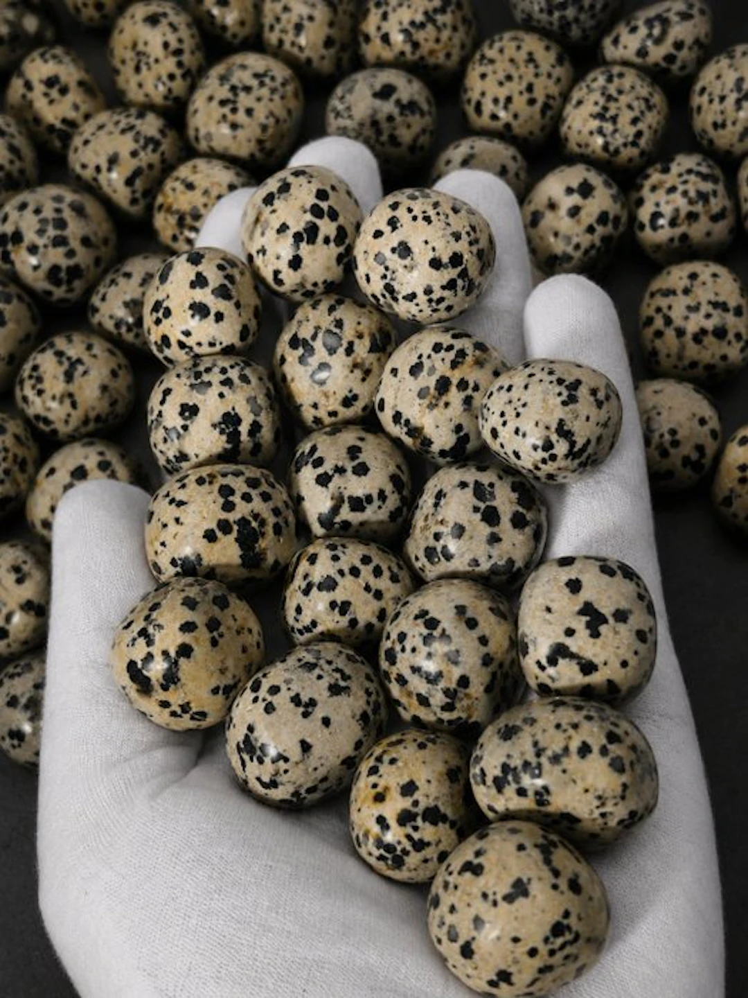 ***NO RESERVE*** Dalmatian (Kiwi) Jasper Tumbles | 58–60...