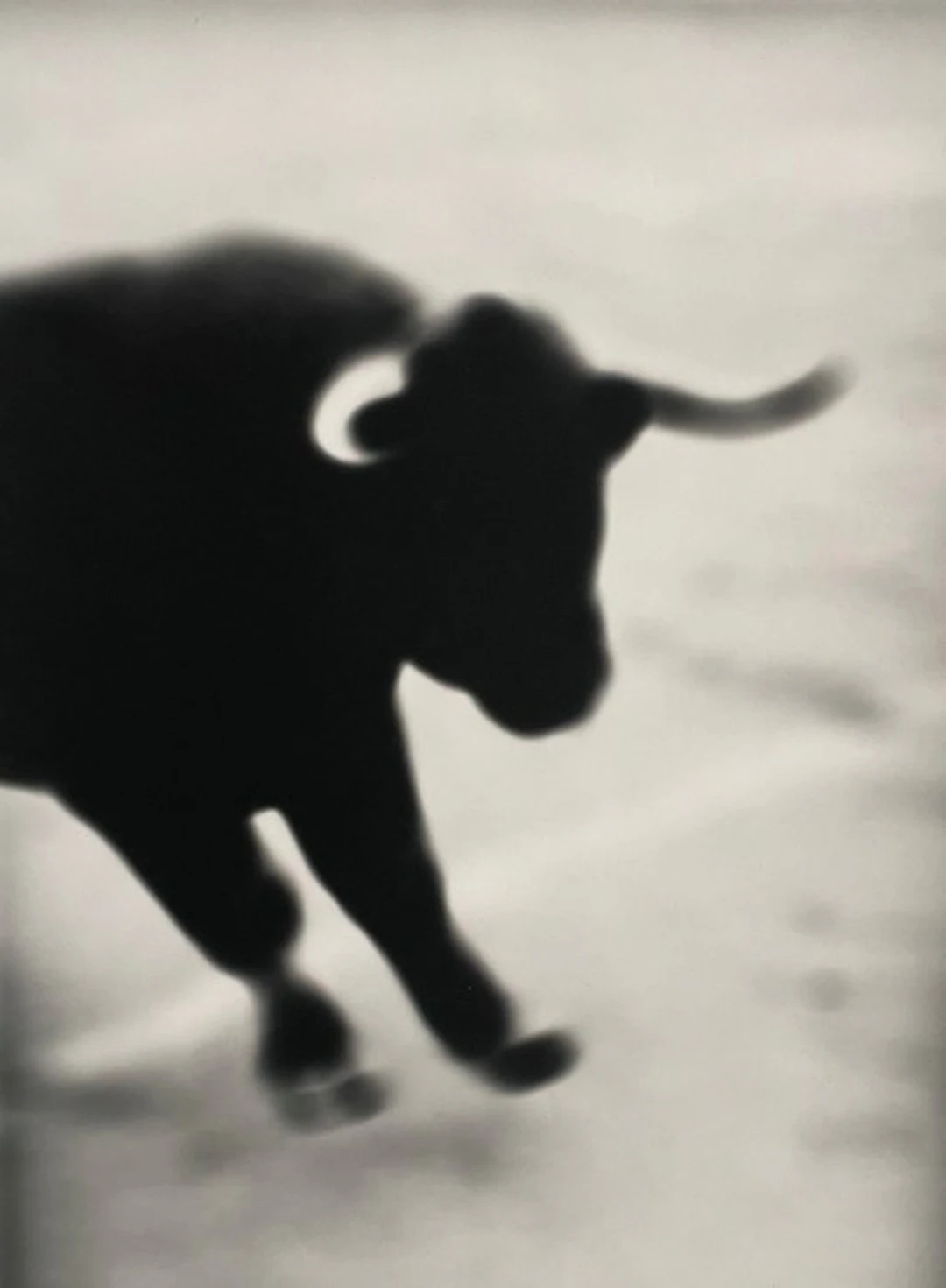 Thierry Valancin - Camargue Arles 2004