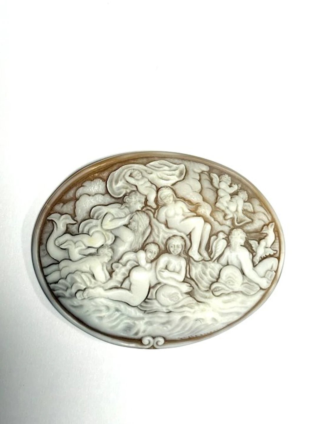 Met - Cameo - Cameo shell sardines
