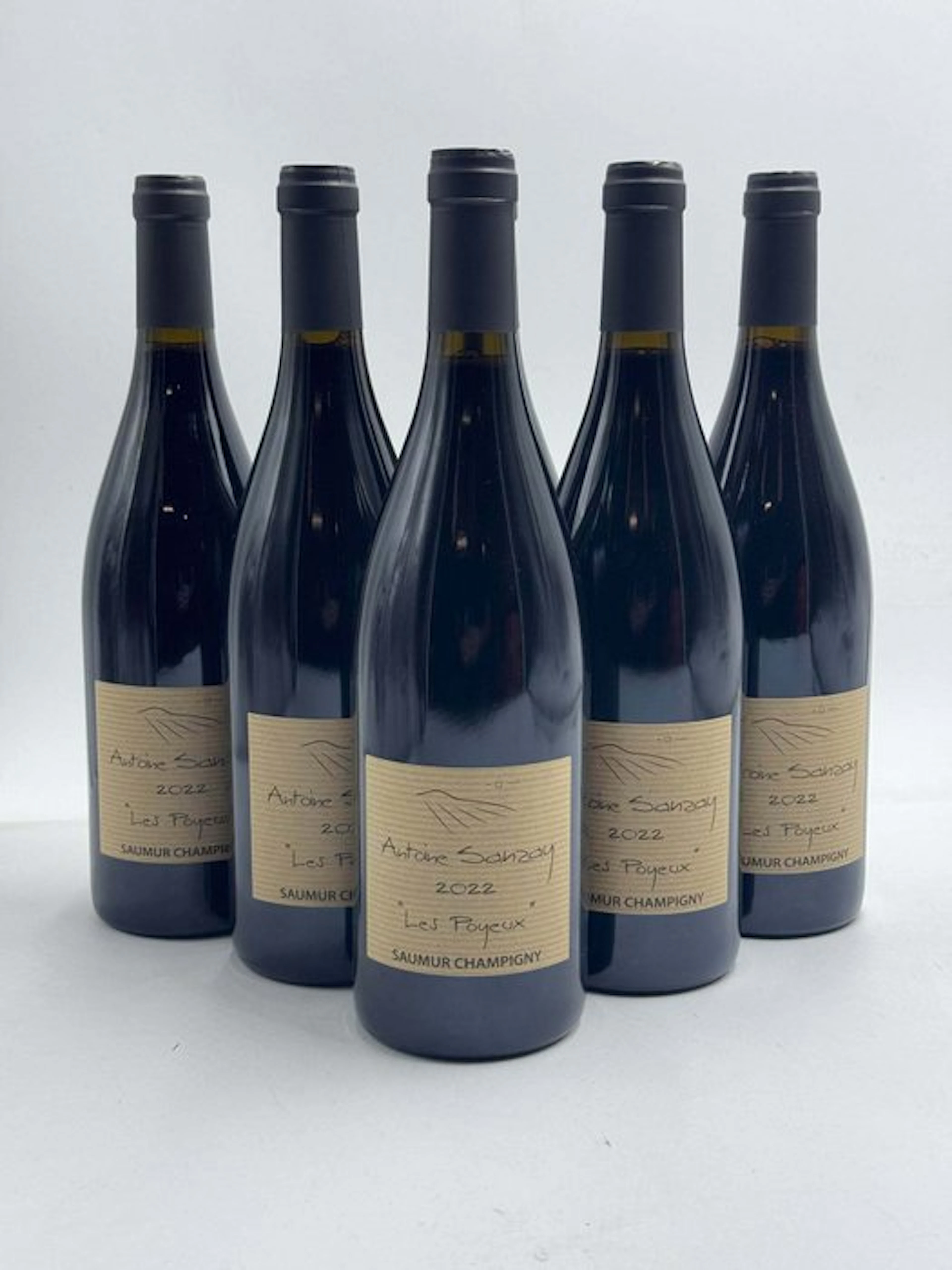 2022 Antoine Sanzay, Les Poyeux - Saumur-Champigny - 6 Bottles (0.75L)