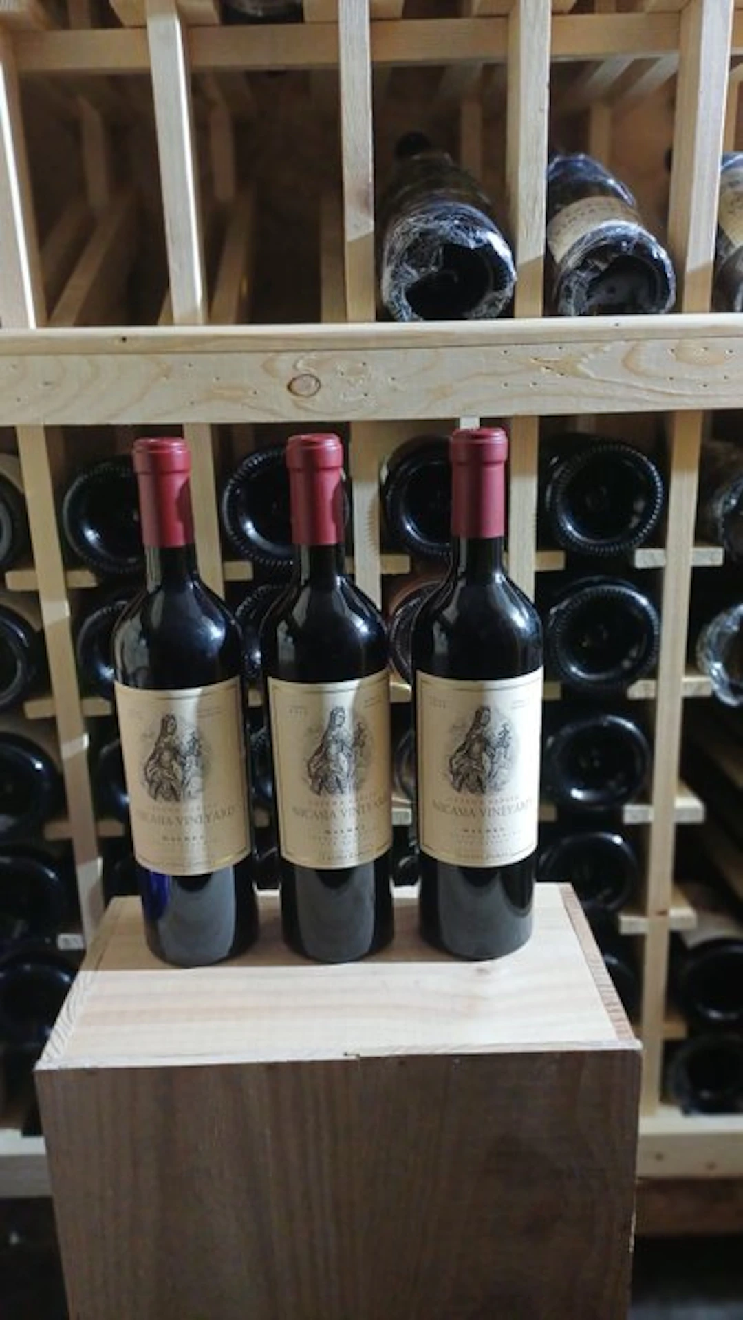 2016 2019 & 2020 Catena Zapata Nicasia Vineyard Malbec...
