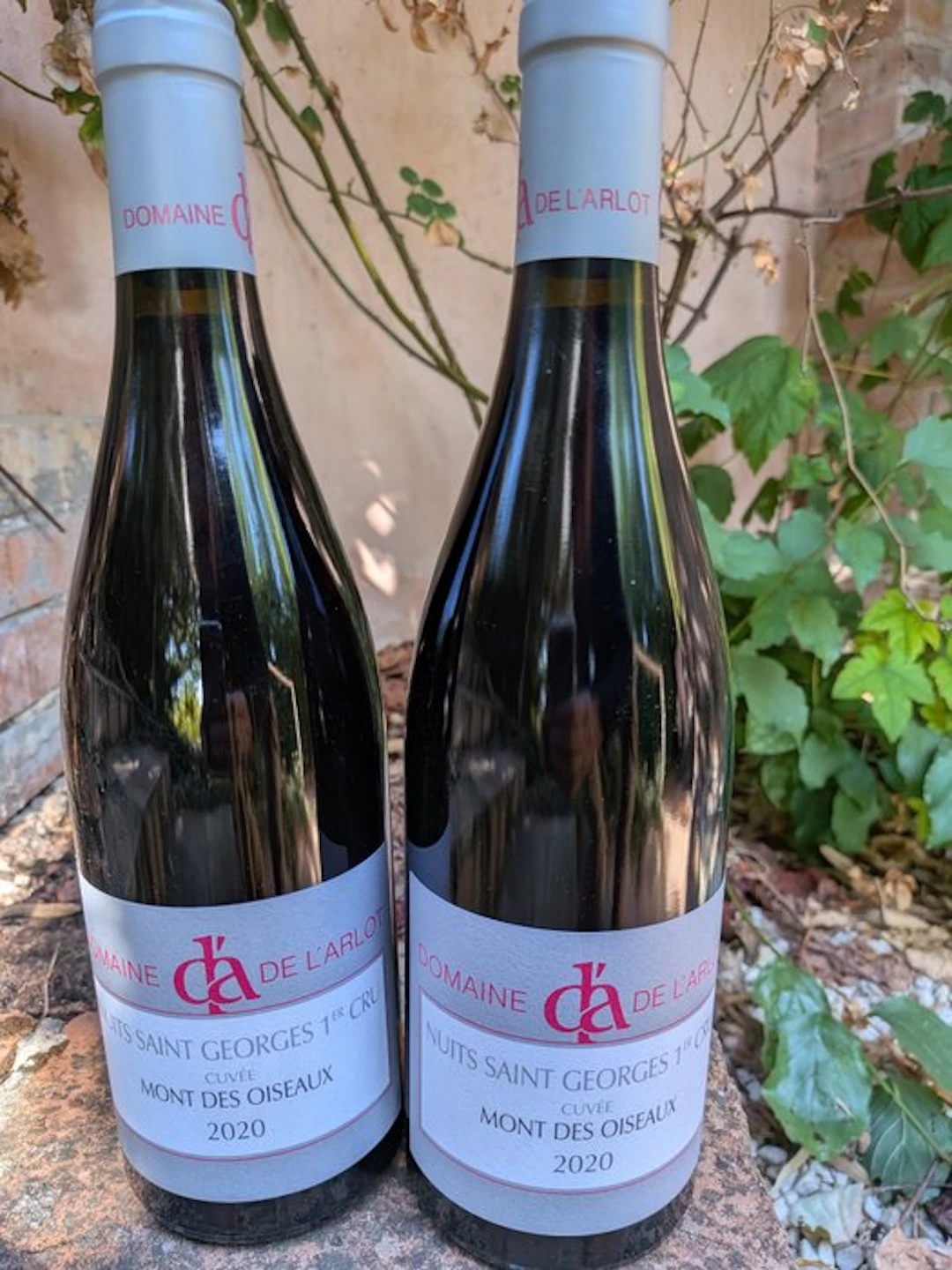 2020 Domaine de l'Arlot "Cuvée Mont des Oiseaux" - Nuits St