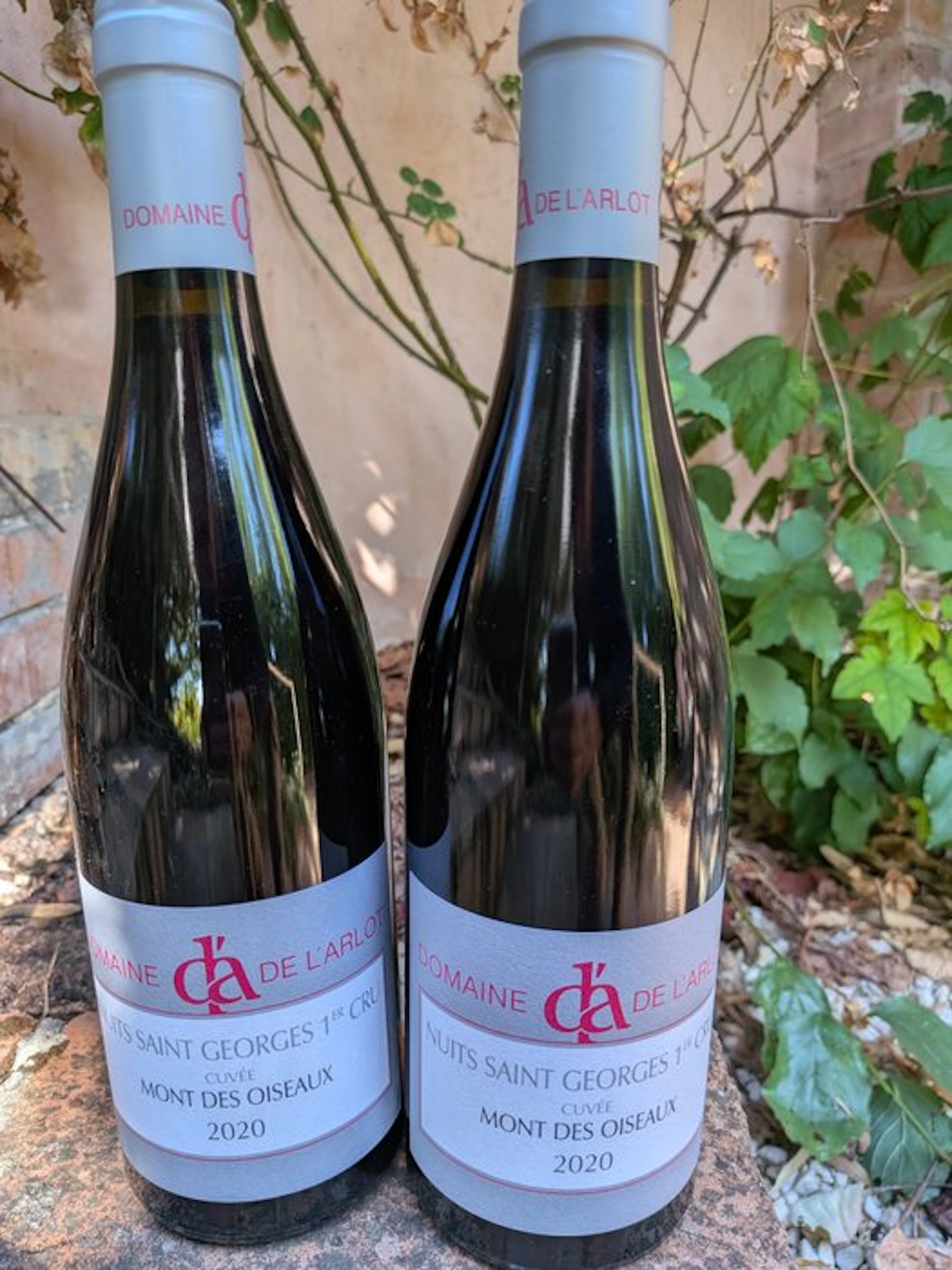2020 Domaine de l'Arlot "Cuvée Mont des Oiseaux" - Nuits St