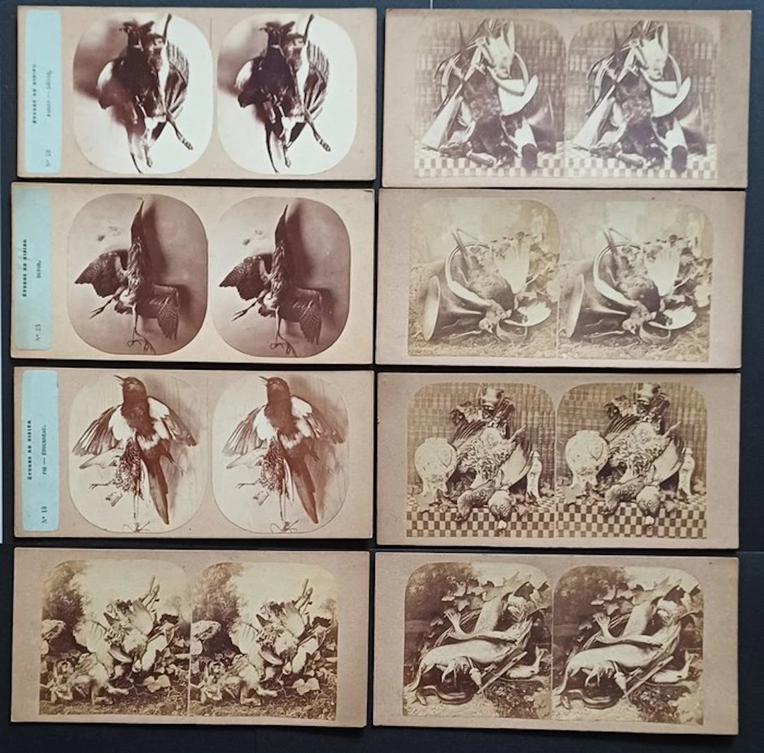 Divers - 8 stereofoto's van jachtstillevens, ca. 1860