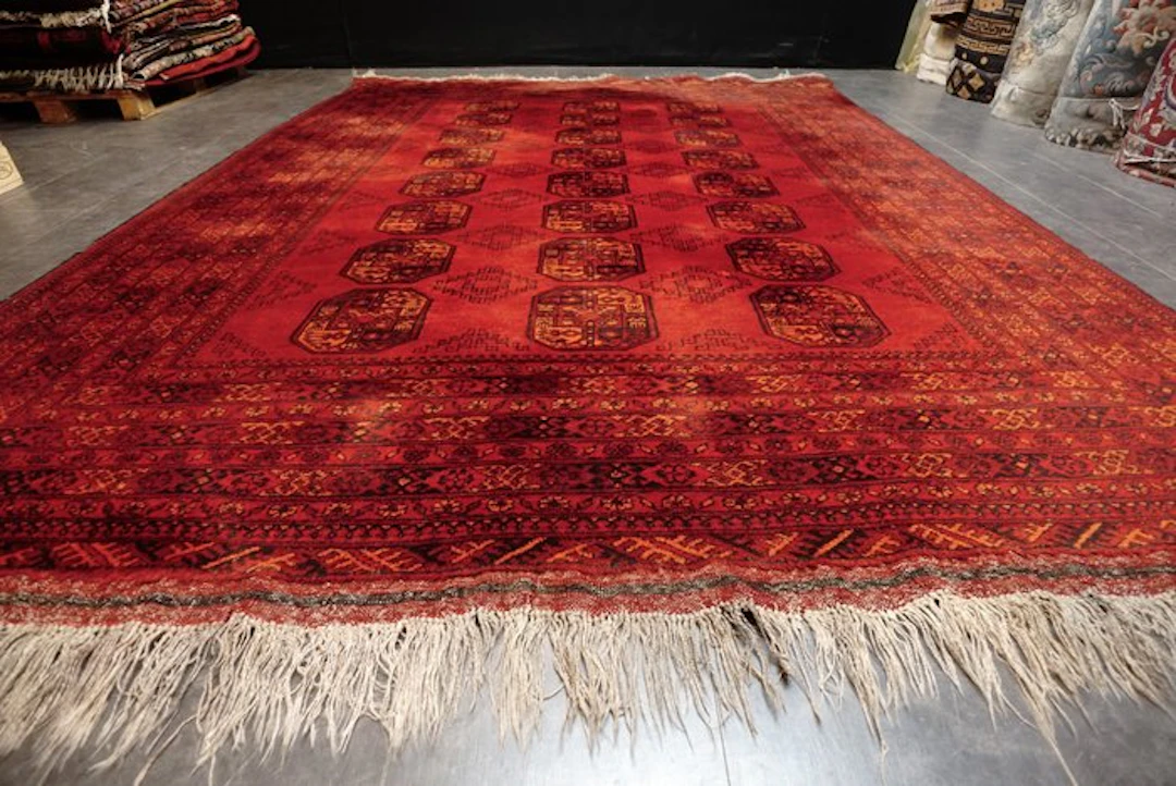 Afghan - Carpet - 335 cm - 263 cm
