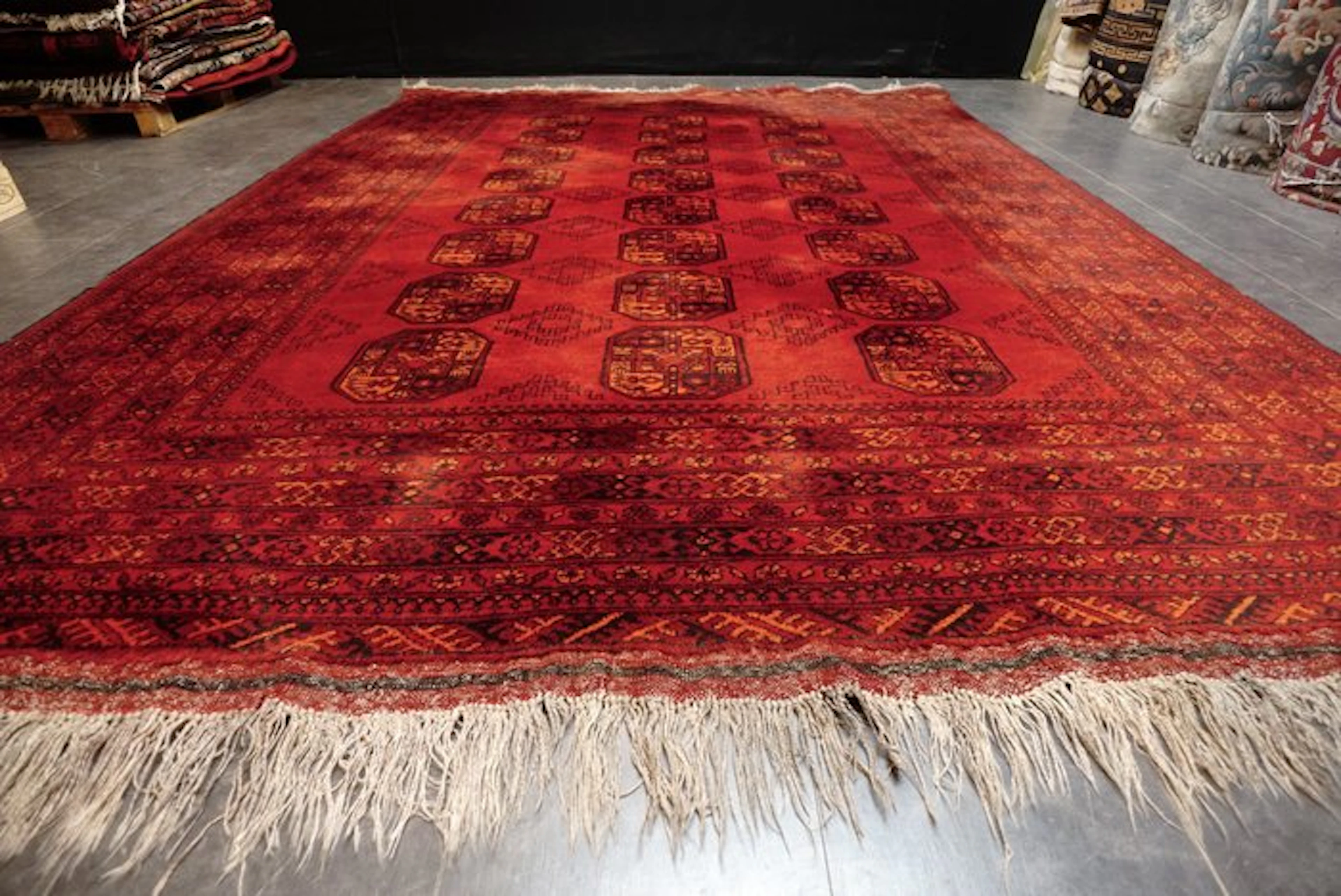 Afghan - Carpet - 335 cm - 263 cm
