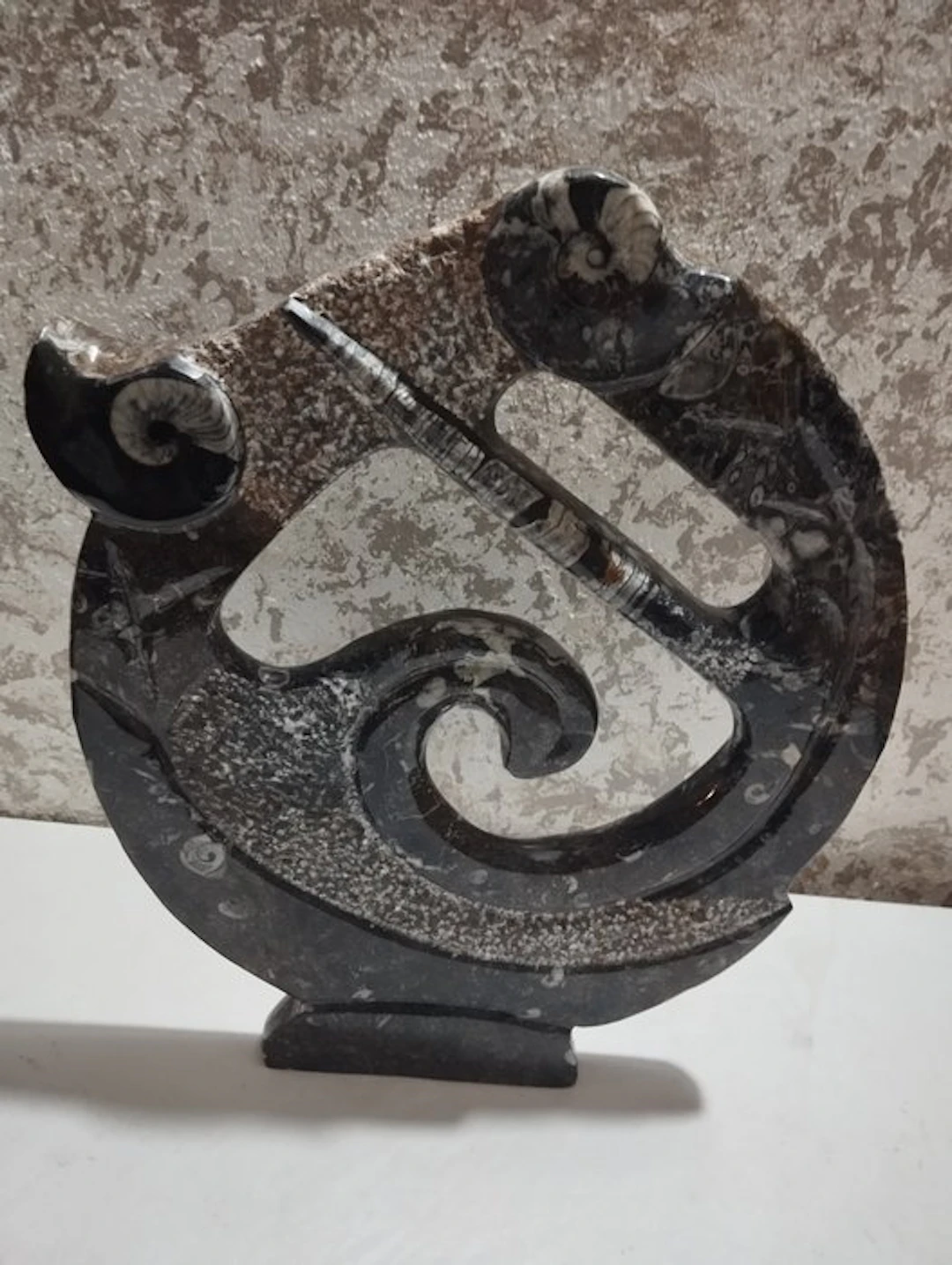 Fossilised animal - 43.5 cm - 34 cm
