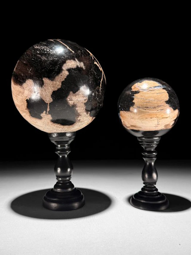 Fossilised wood - Wonderful Pair of Petrified Wood...