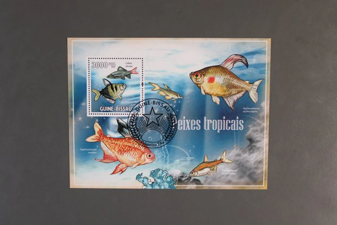 Africa - over 330 different stamp blocks