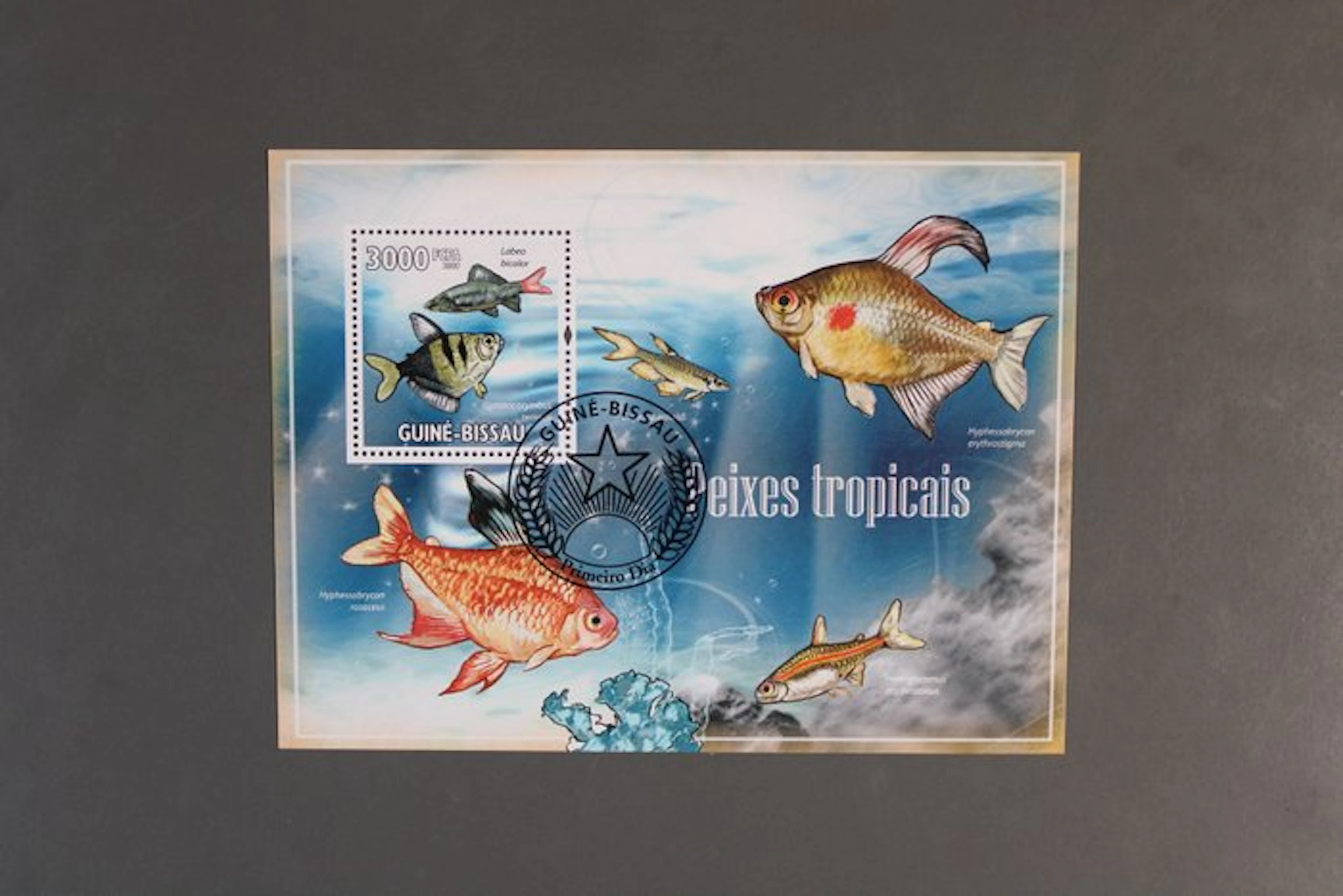 Africa - over 330 different stamp blocks