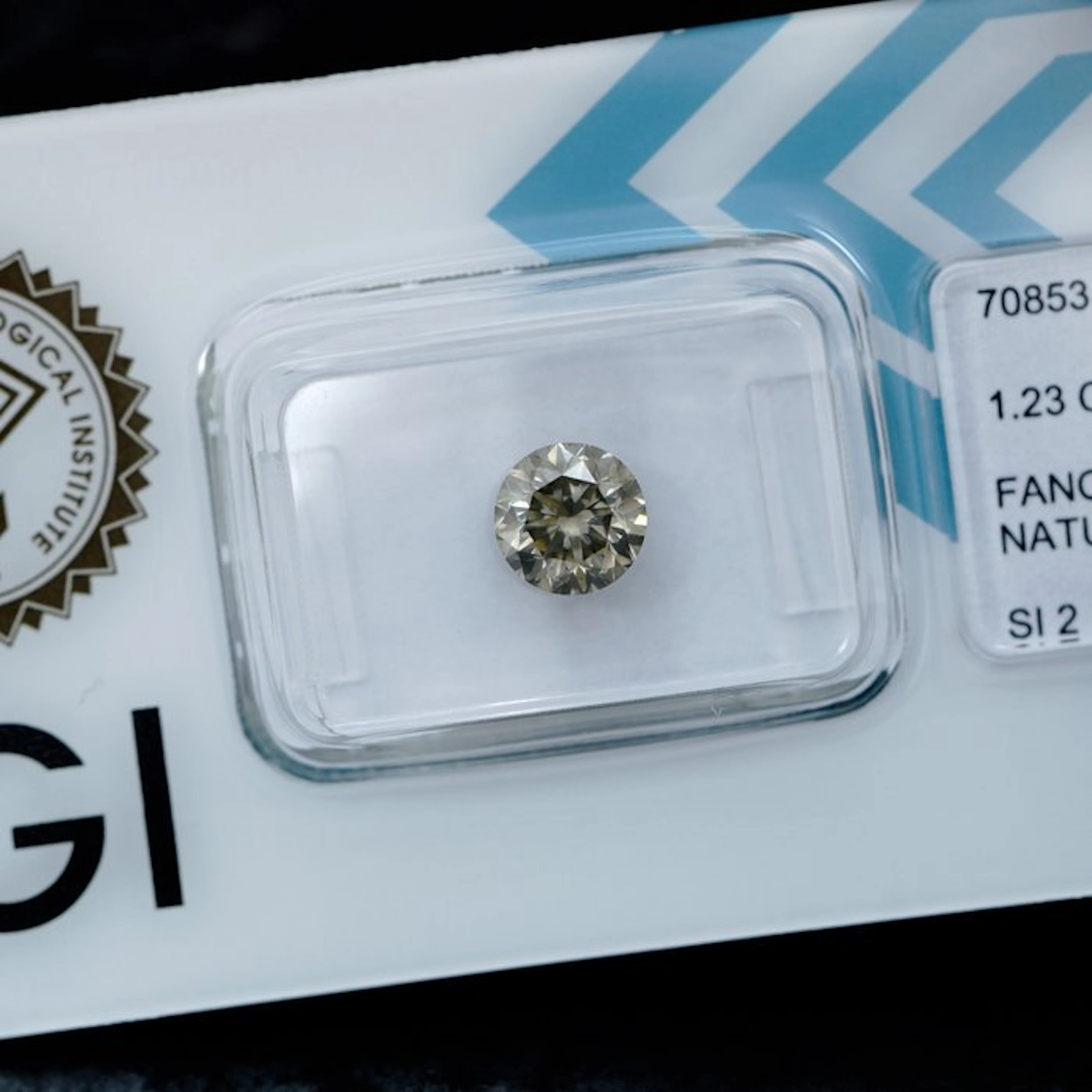 1 pcs Diamond (Natural coloured) - 1.23 ct - Round...