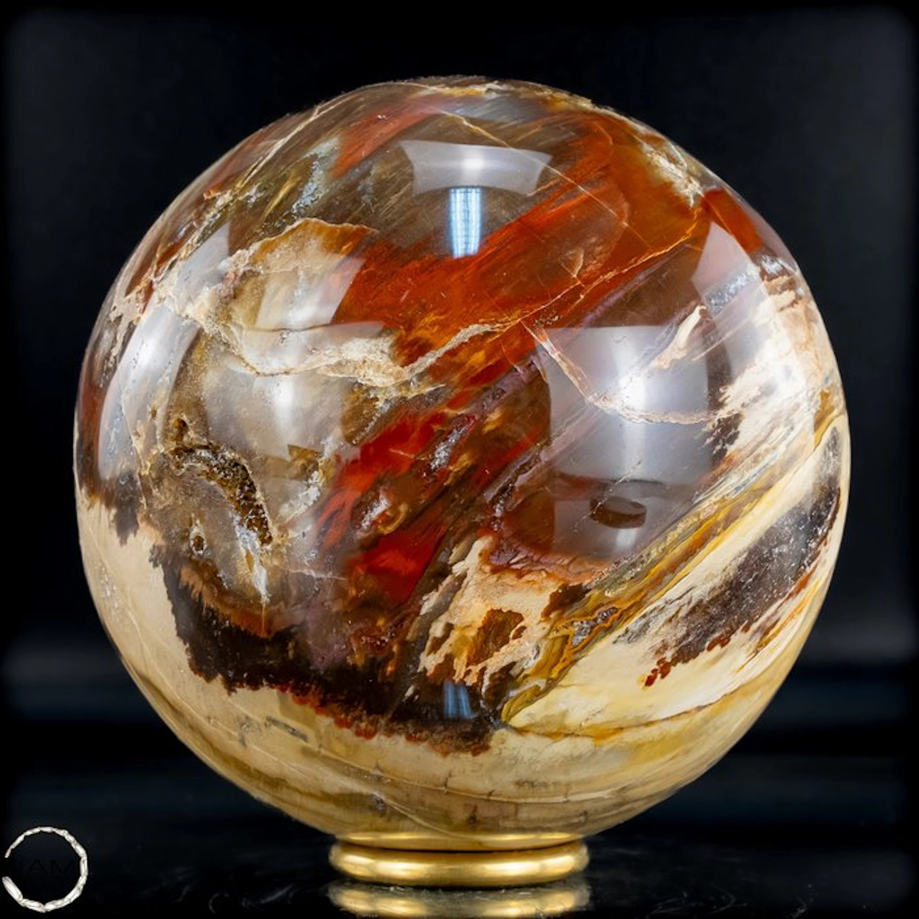 Natural fossilized wood ball – Rare petrification with warm