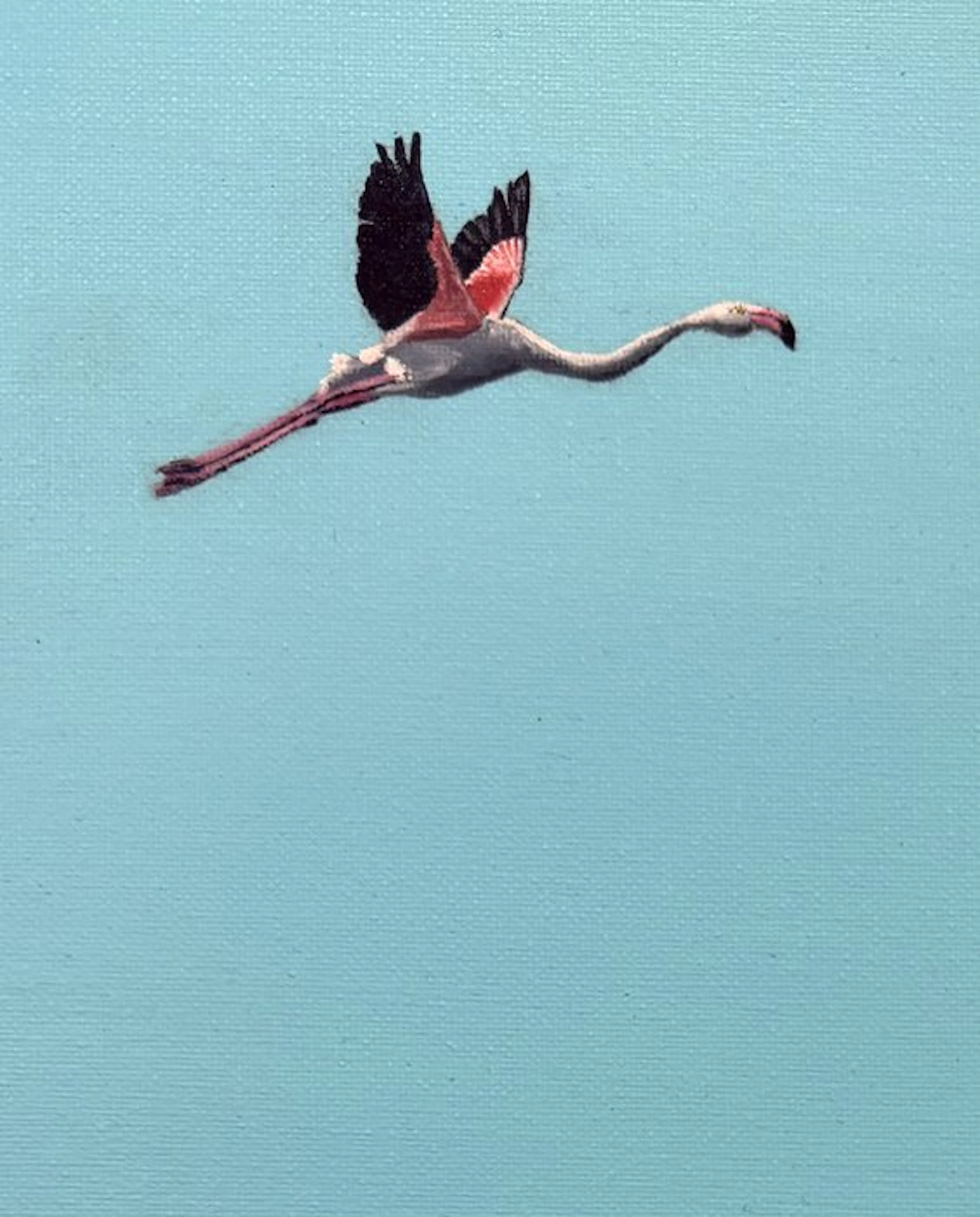 K.milla (XX) - "I Pink, Therefore I Am" - Flamingo