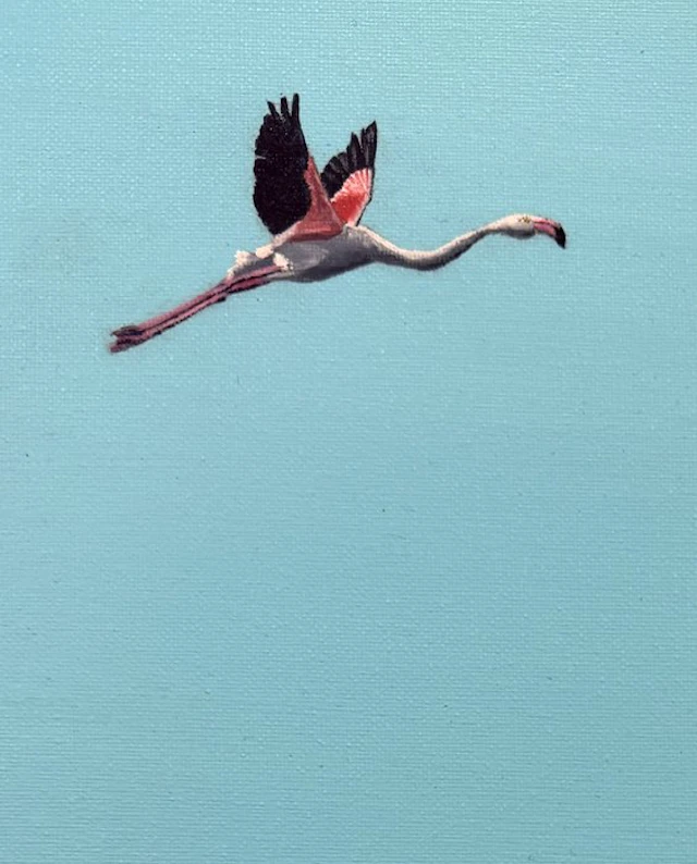 K.milla (XX) - "I Pink, Therefore I Am" - Flamingo
