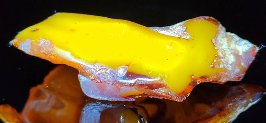 Baltic Amber- High Quality AAA- 48.92 g