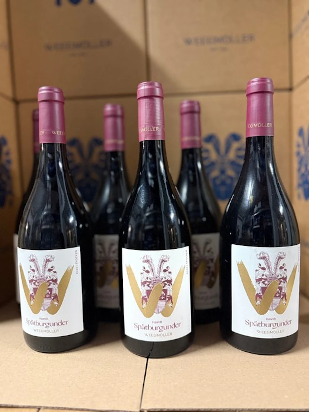 2023 Weingut Weegmüller - Spätburgunder Haardt - Pfalz - 6 Bottles (0.75L)
