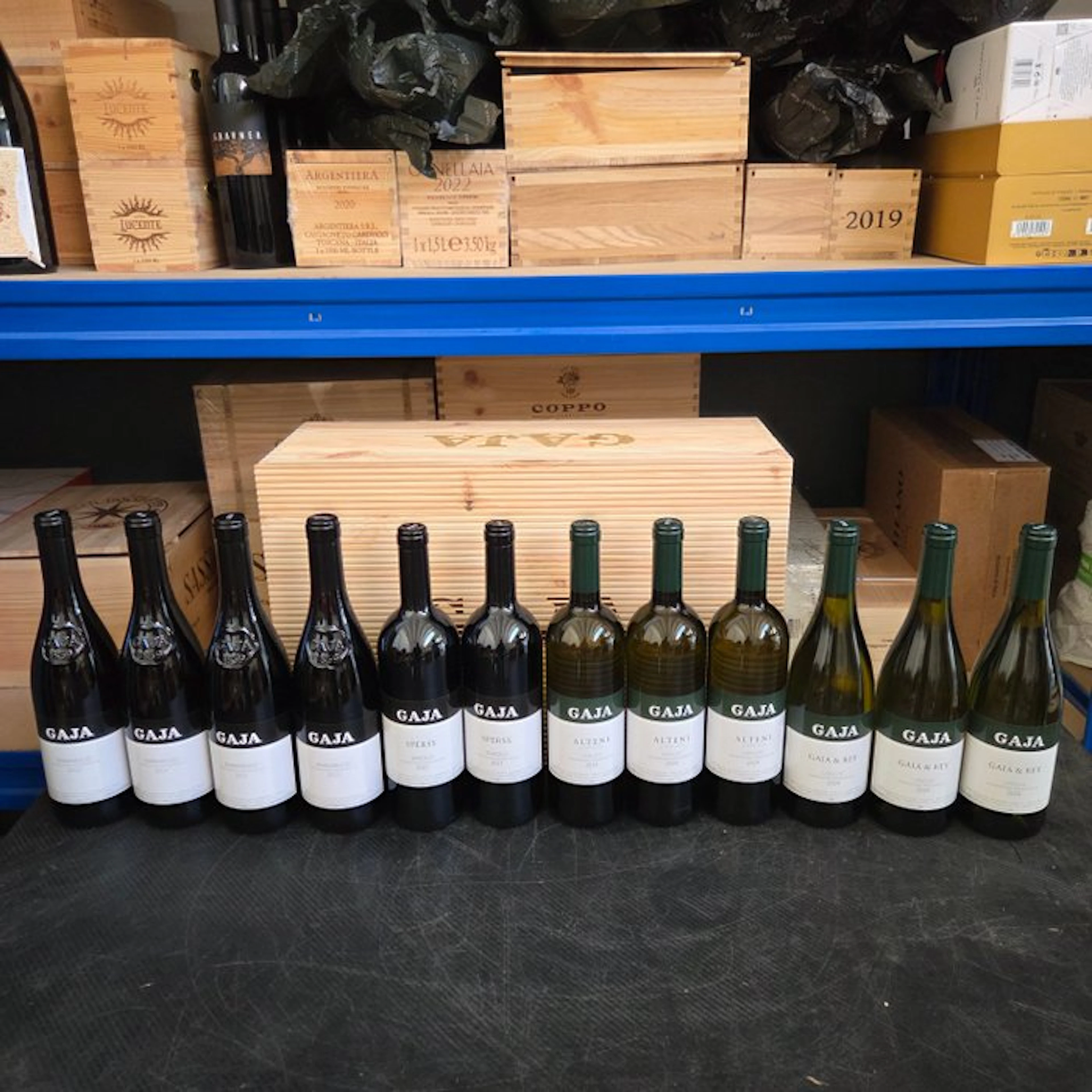 Gaja: 2021 x2 Sperss