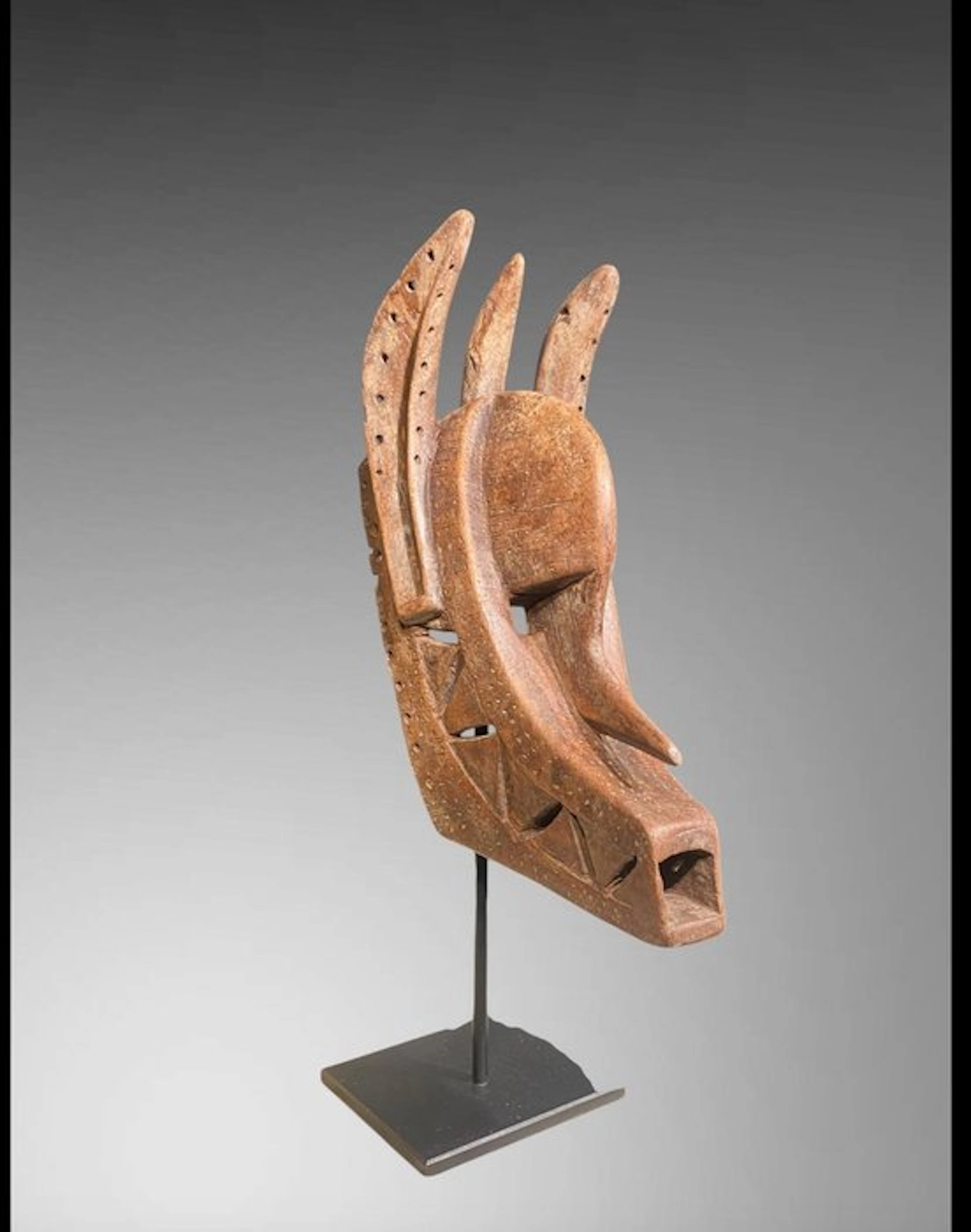 Exceptional Bamana Mask - hyena mask (45 cm) - Bamana - Mali