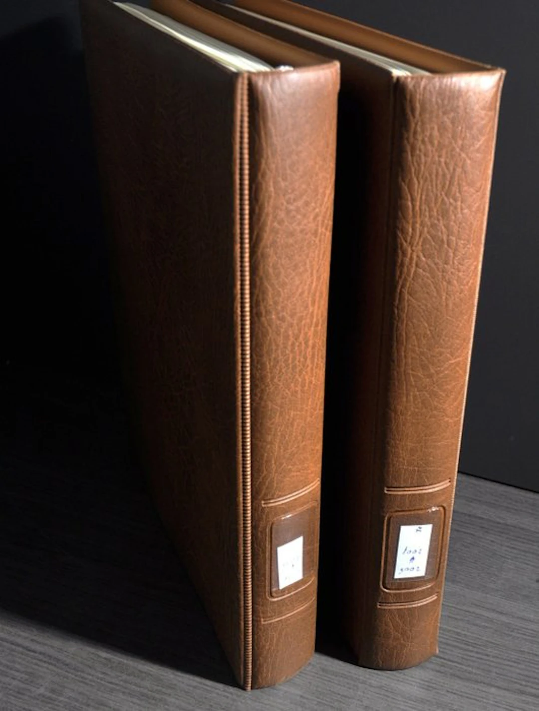 Accessories in the Netherlands - Two empty deluxe Lindner...