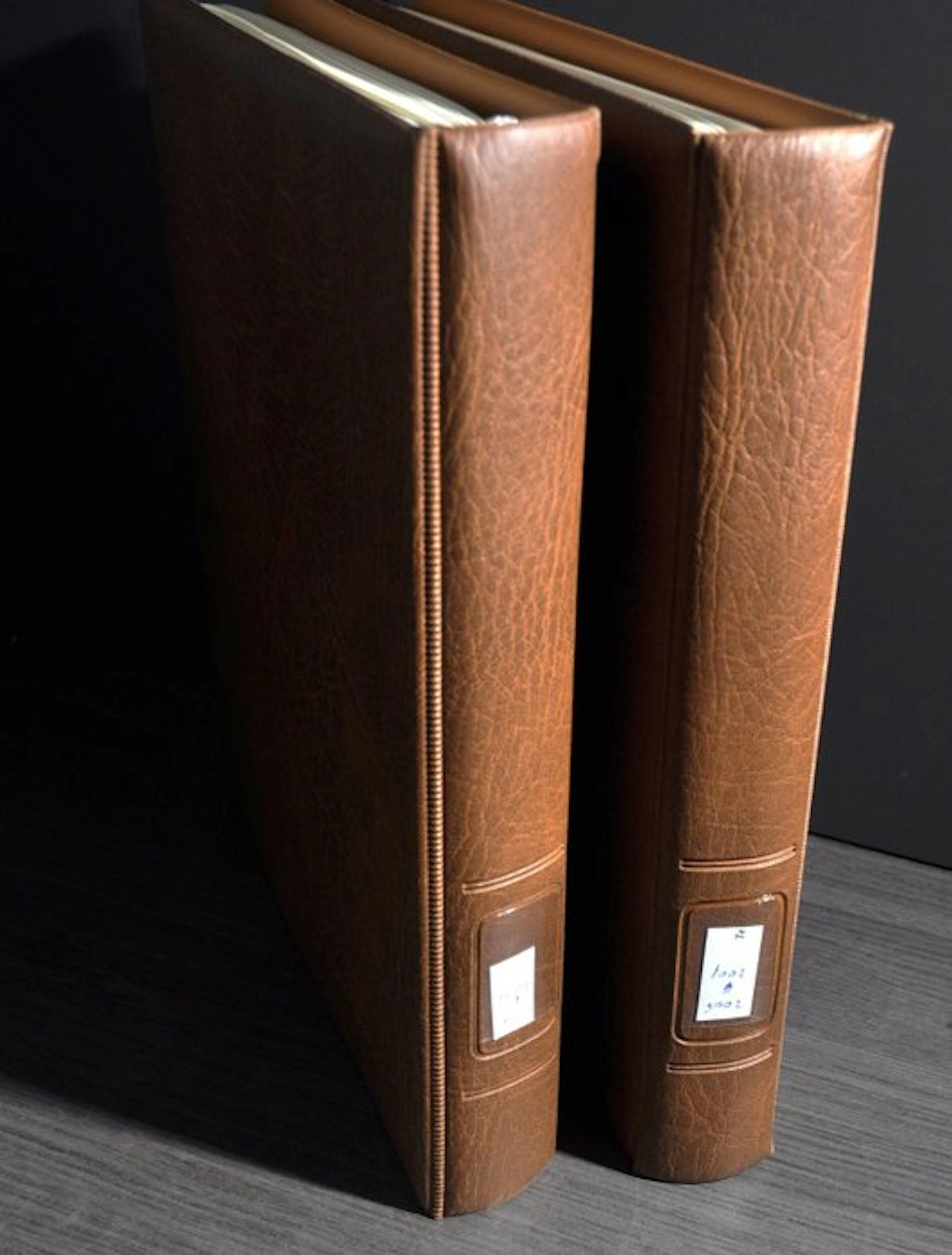Accessories in the Netherlands - Two empty deluxe Lindner...