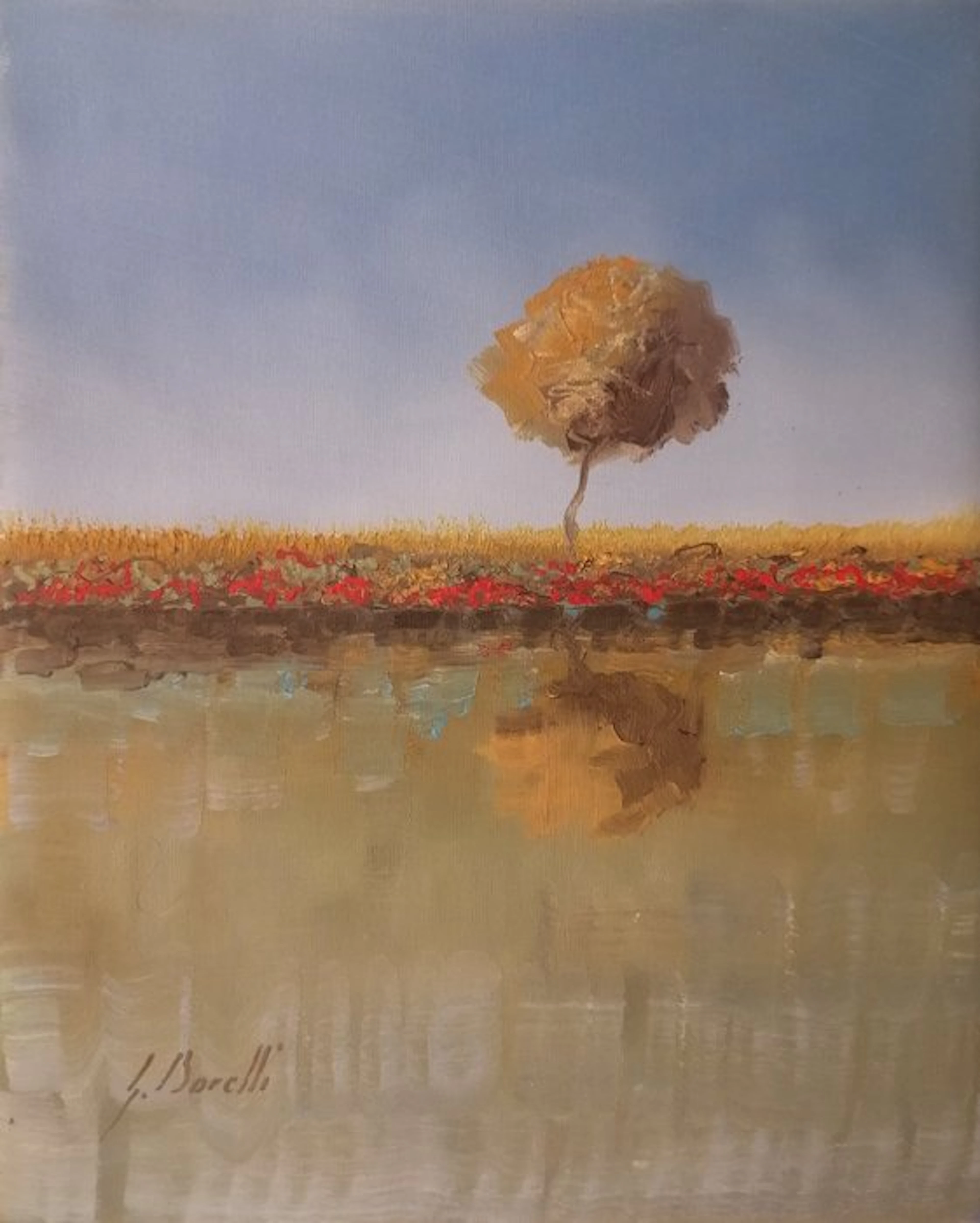 Guido Borelli - albino