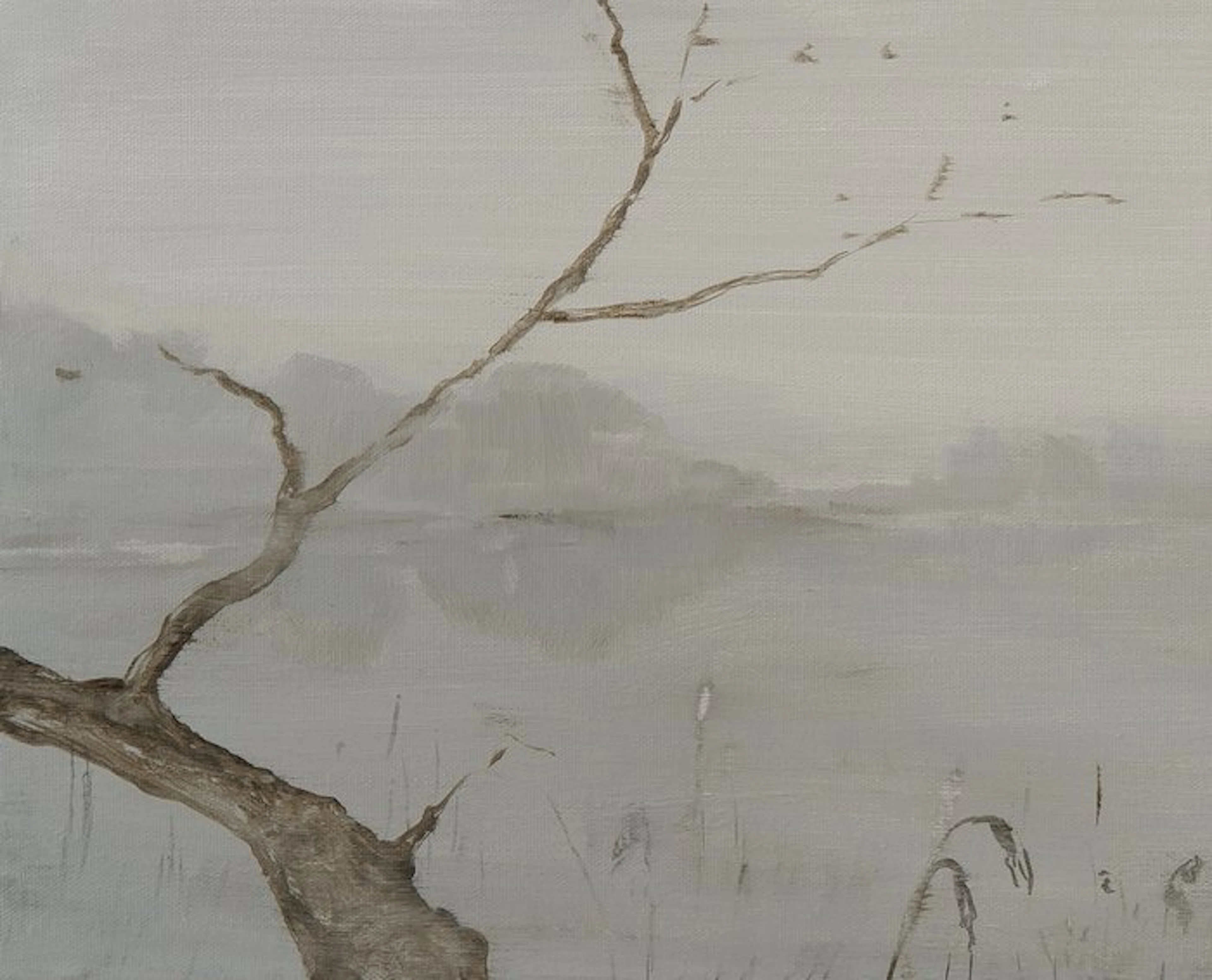 Matthieu van Riel - Biesbosch